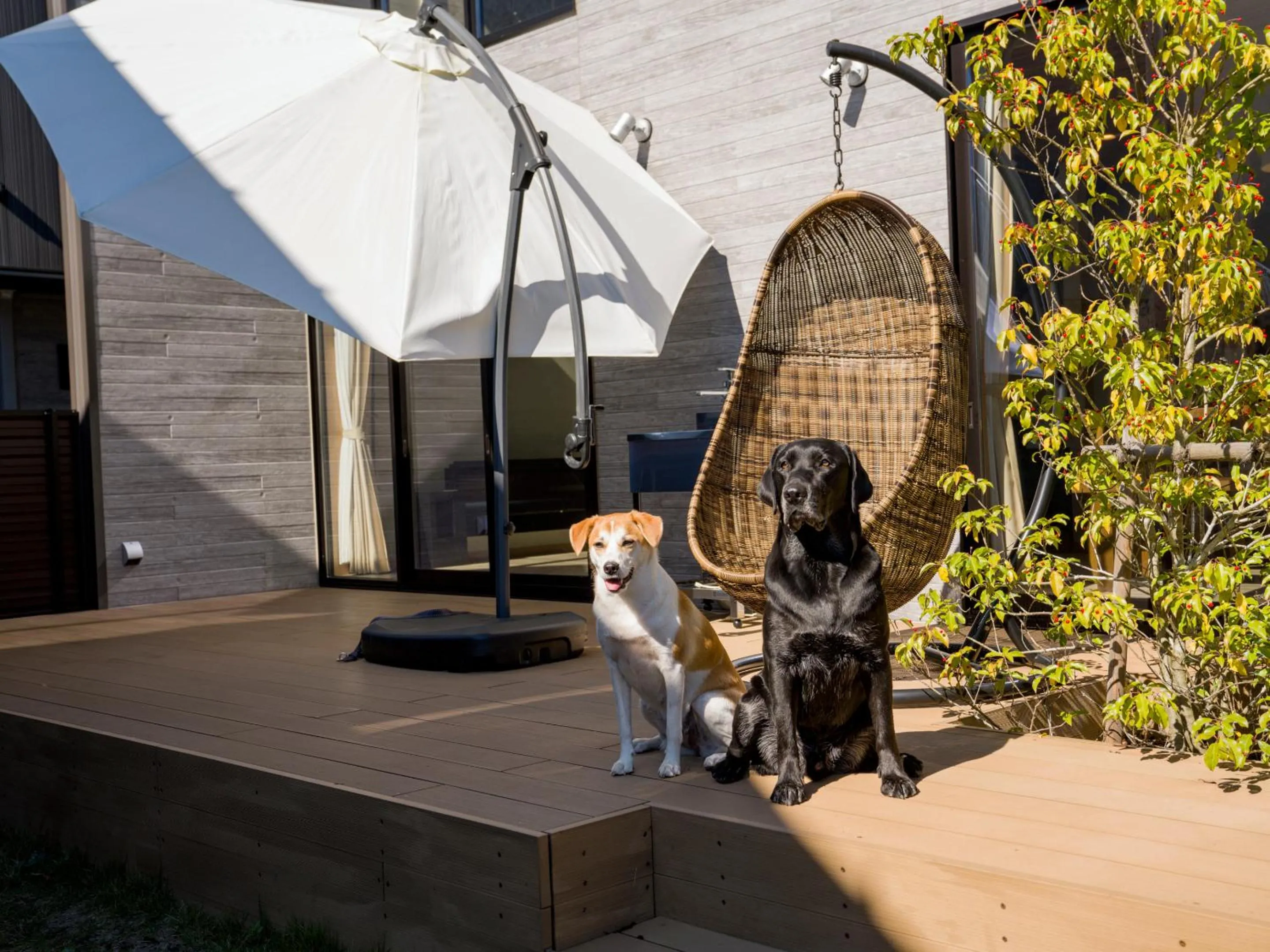 Balcony/Terrace in Rakuten STAY VILLA Yamanakako