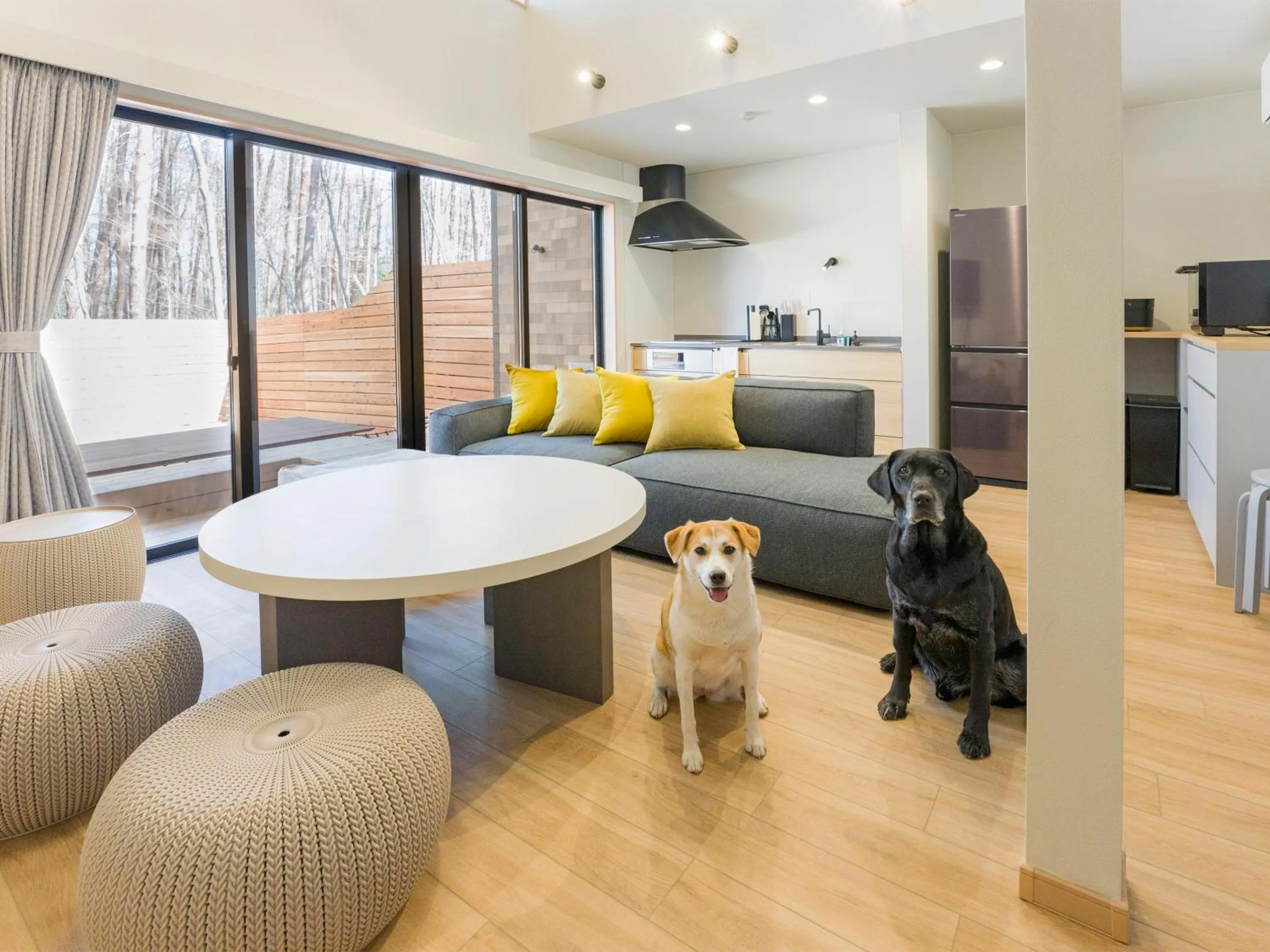 Living room in Rakuten STAY VILLA Fujikawaguchiko Forest