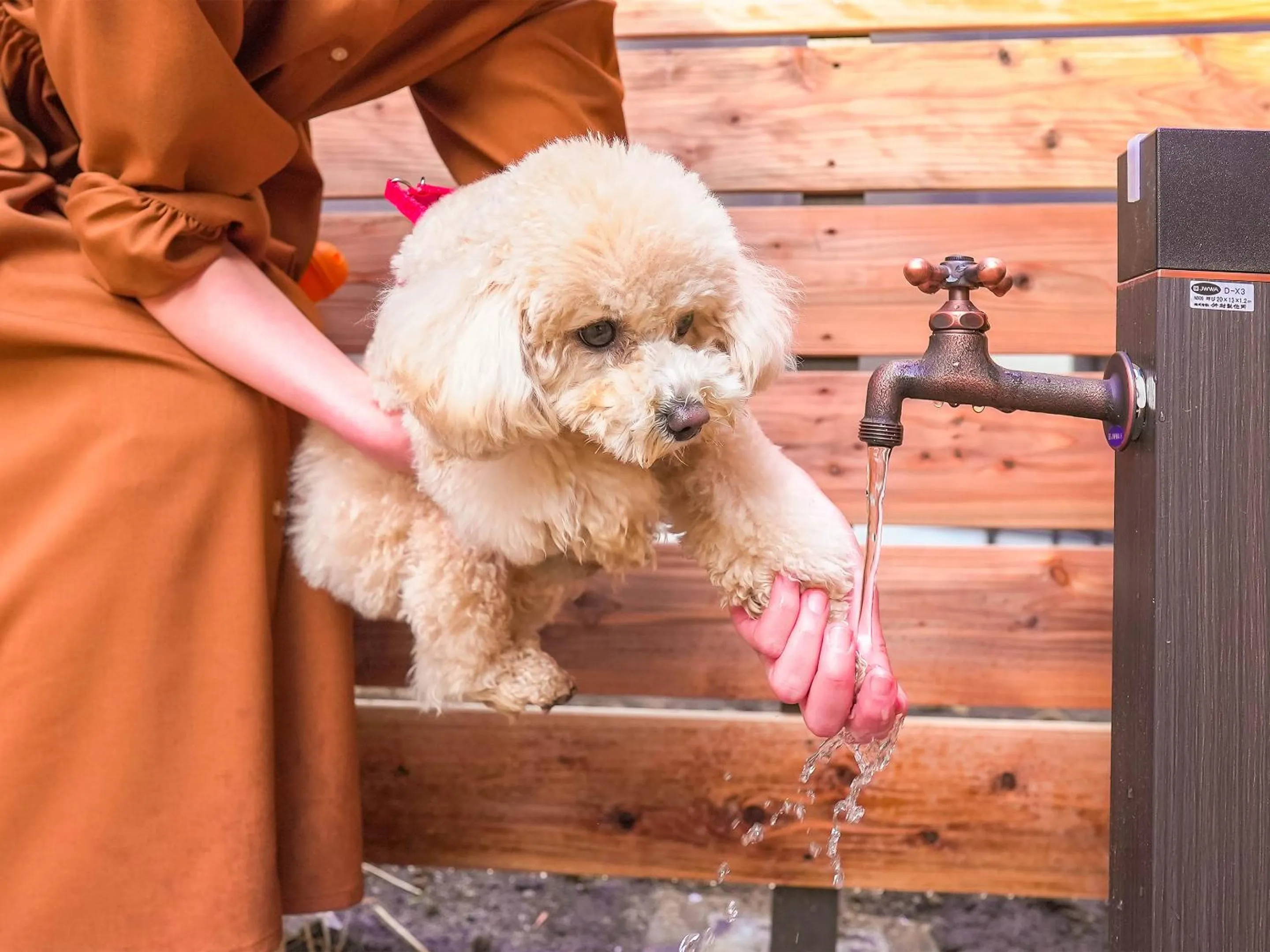 Pets in Rakuten STAY VILLA Fujikawaguchiko Forest