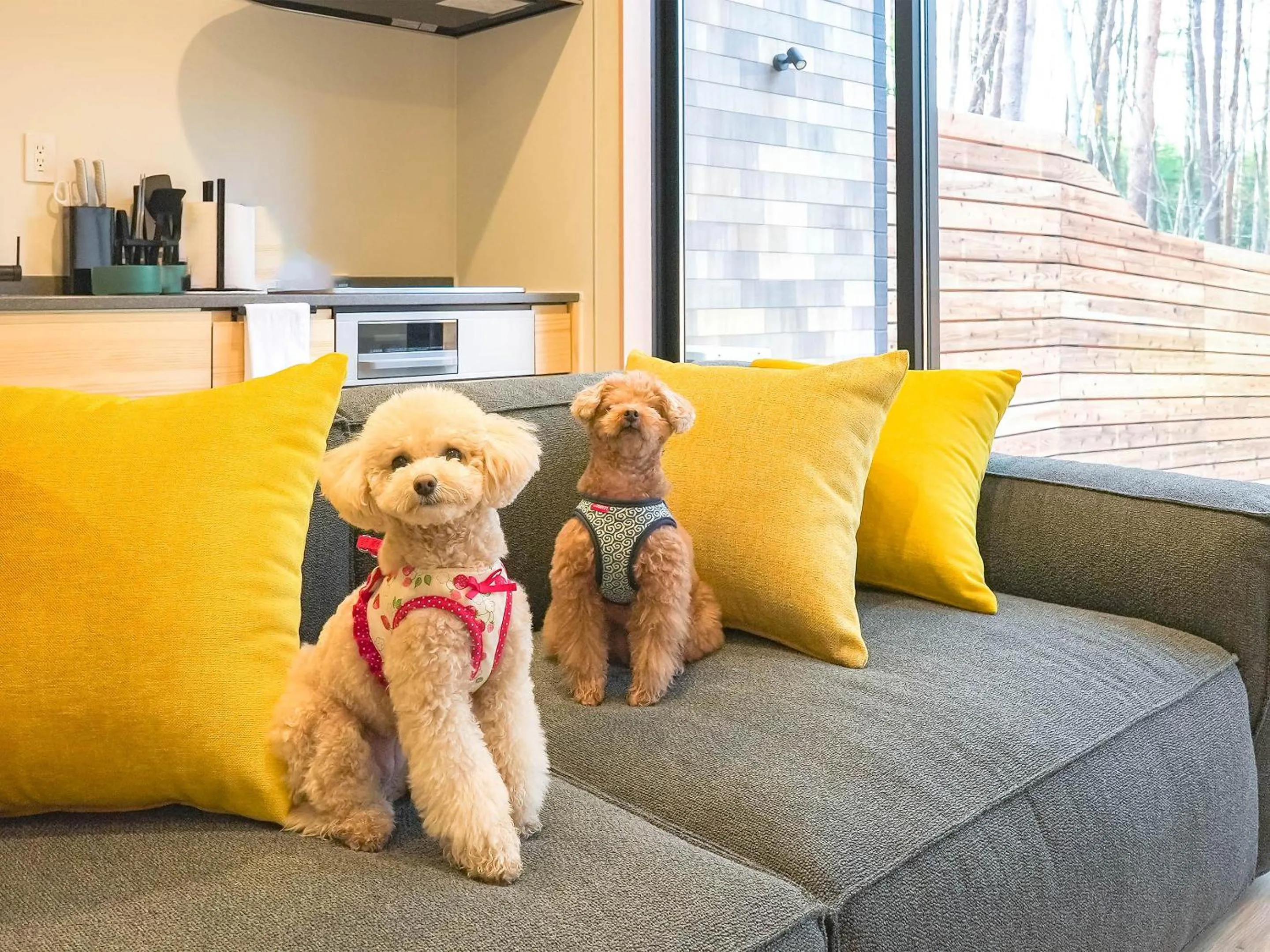 Pets in Rakuten STAY VILLA Fujikawaguchiko Forest