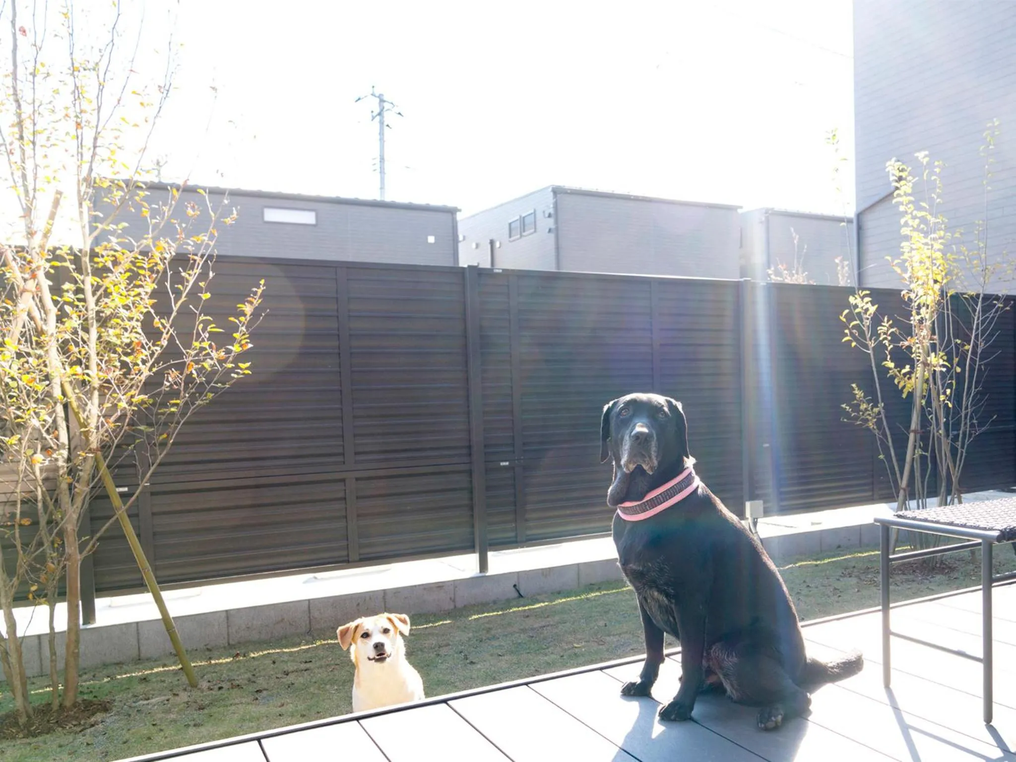 Area and facilities in Rakuten STAY Fuji Kawaguchiko Station