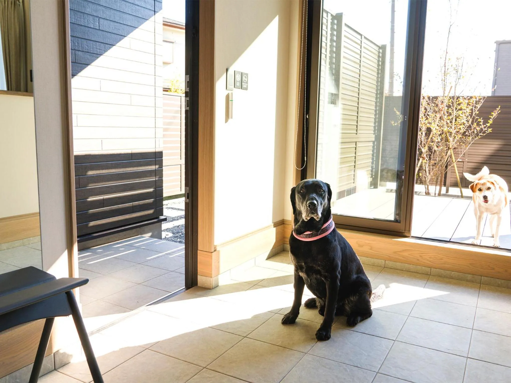 Animals in Rakuten STAY Fuji Kawaguchiko Station