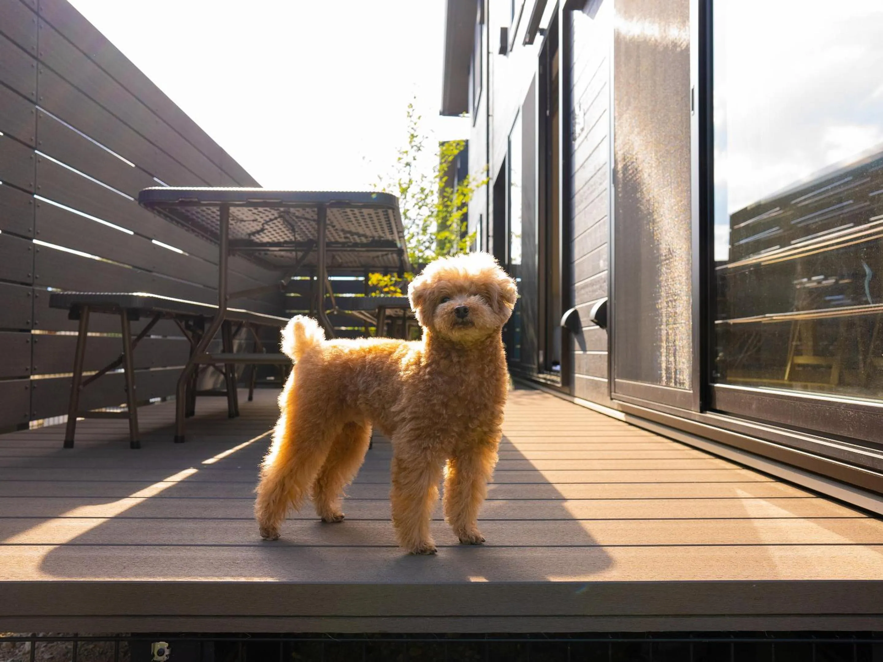 Balcony/Terrace in Rakuten STAY VILLA Yatsugatake