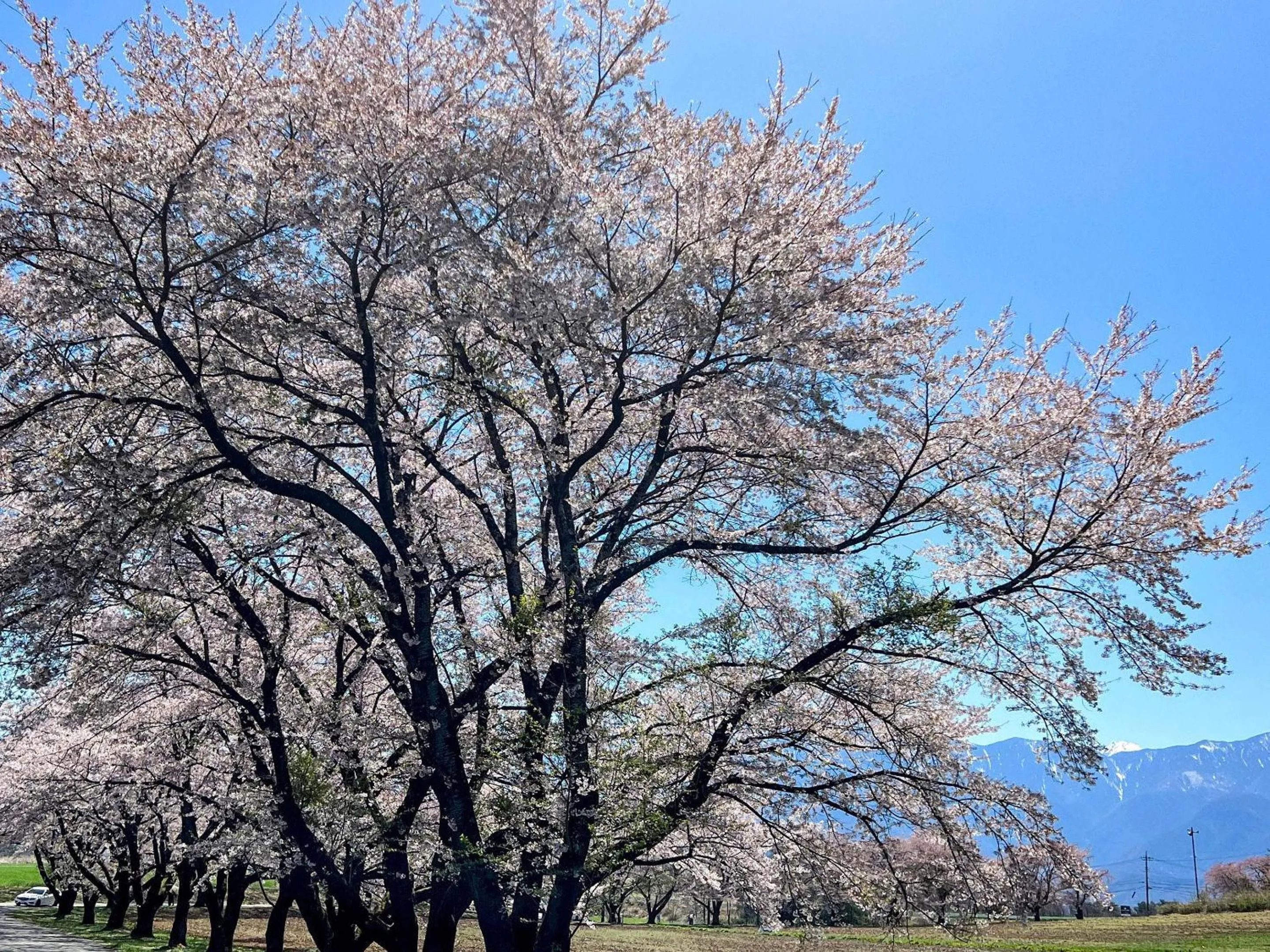 Natural landscape in Rakuten STAY VILLA Yatsugatake