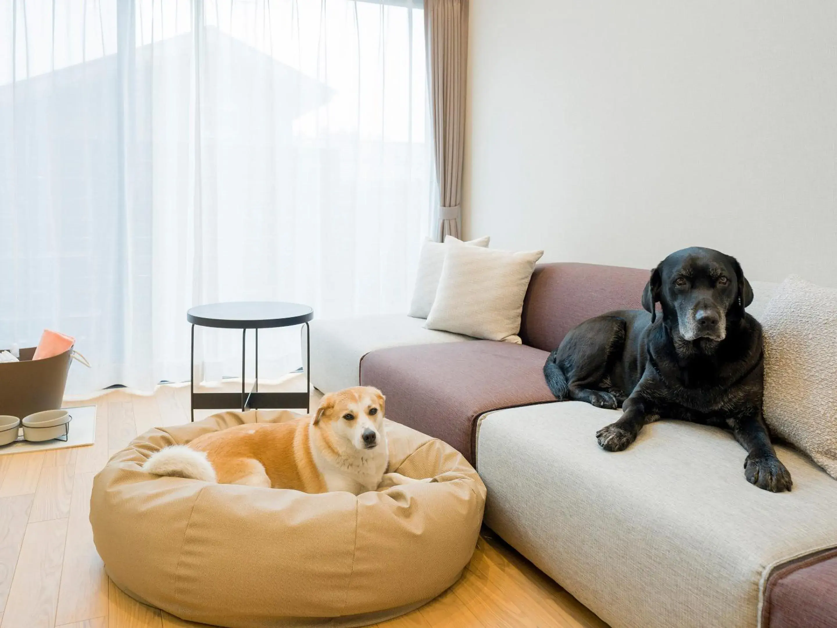 109 - Simple Modern Pets Friendly - in Rakuten STAY VILLA Yatsugatake 109 - Simple Modern Pets Friendly - in Rakuten STAY VILLA Yatsugatake