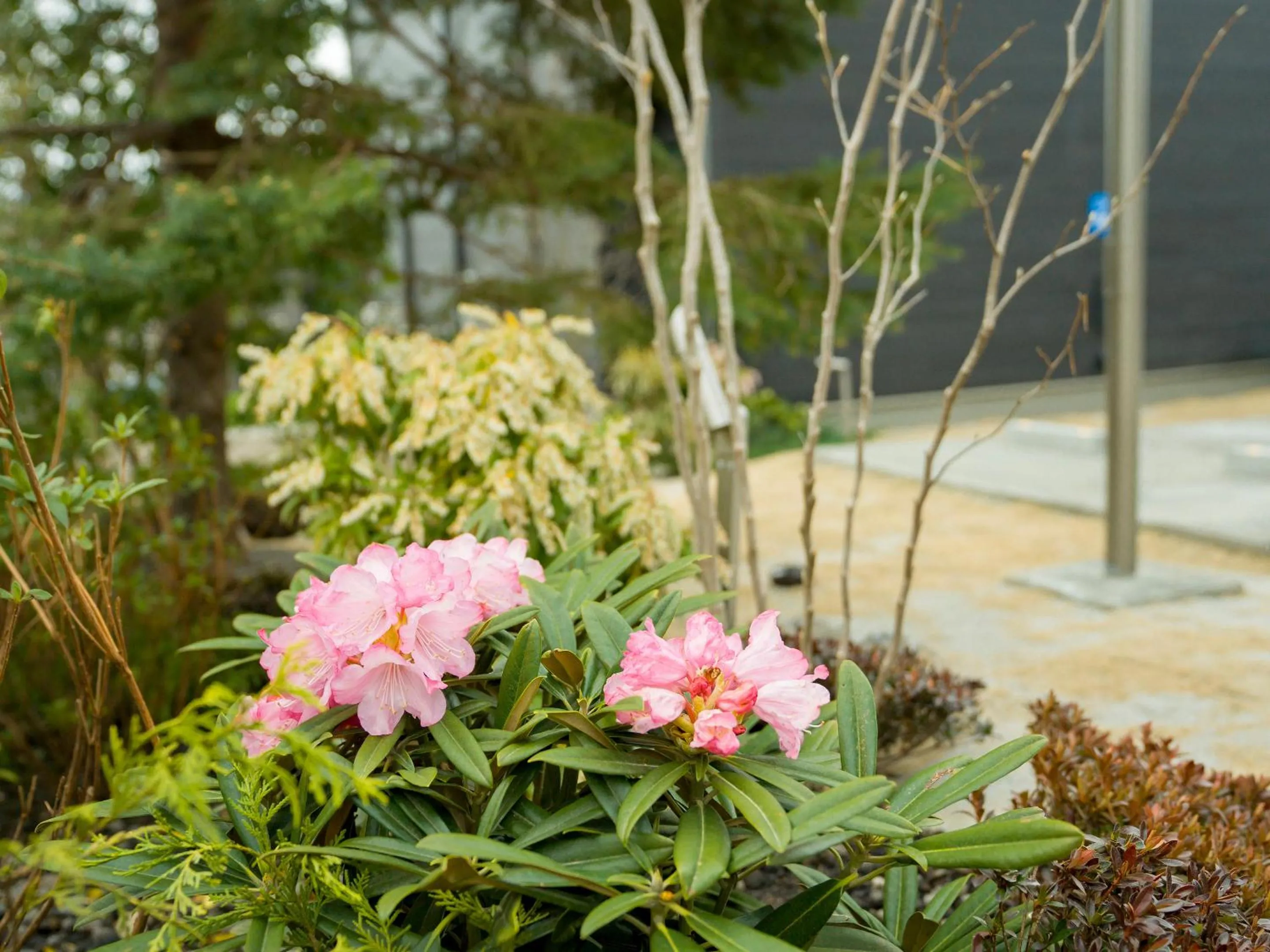 Natural landscape in Rakuten STAY VILLA Yatsugatake