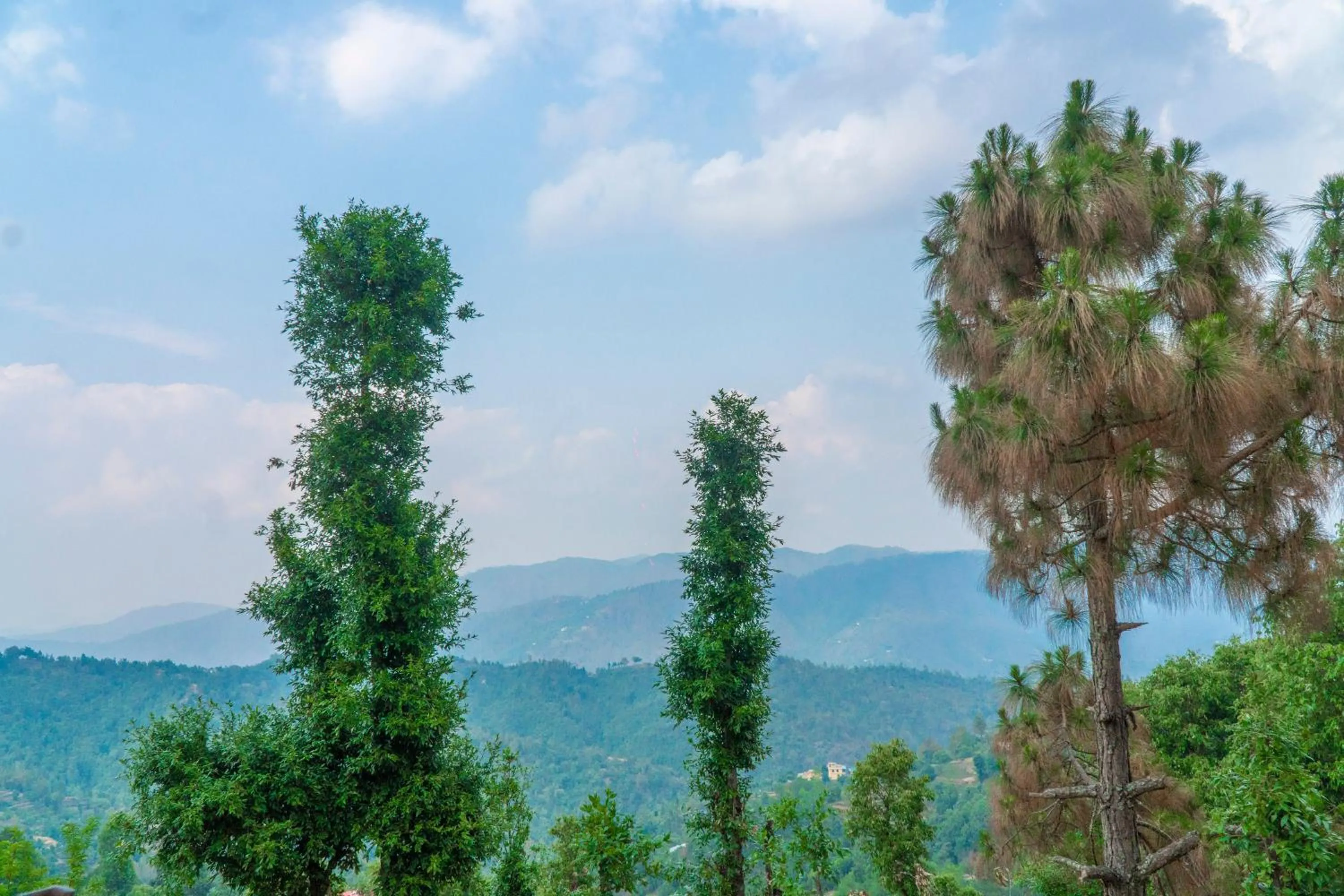 View (from property/room) in Wanderlust Mukteshwar