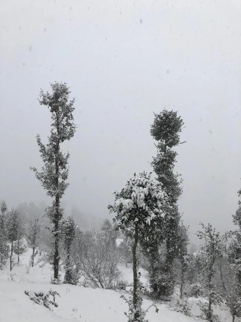 Property building in Wanderlust Mukteshwar