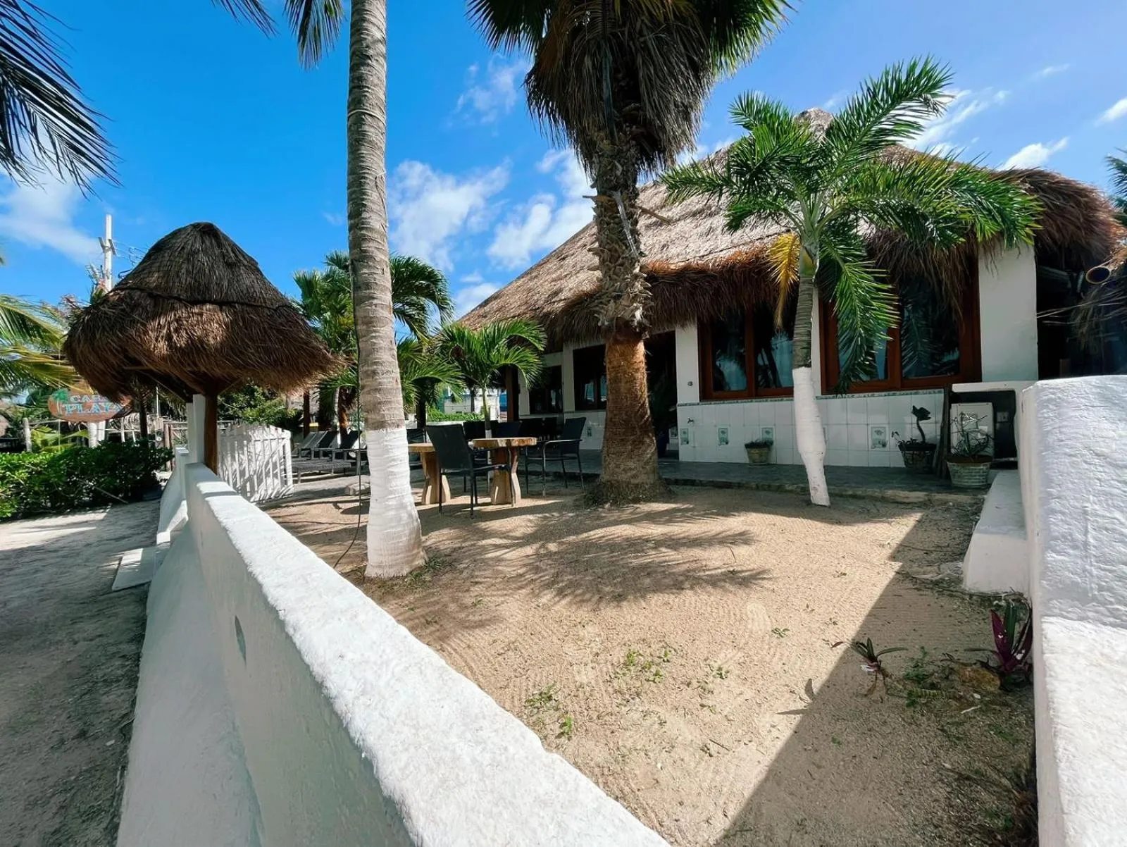 Natural landscape in Casa Playa Holbox!