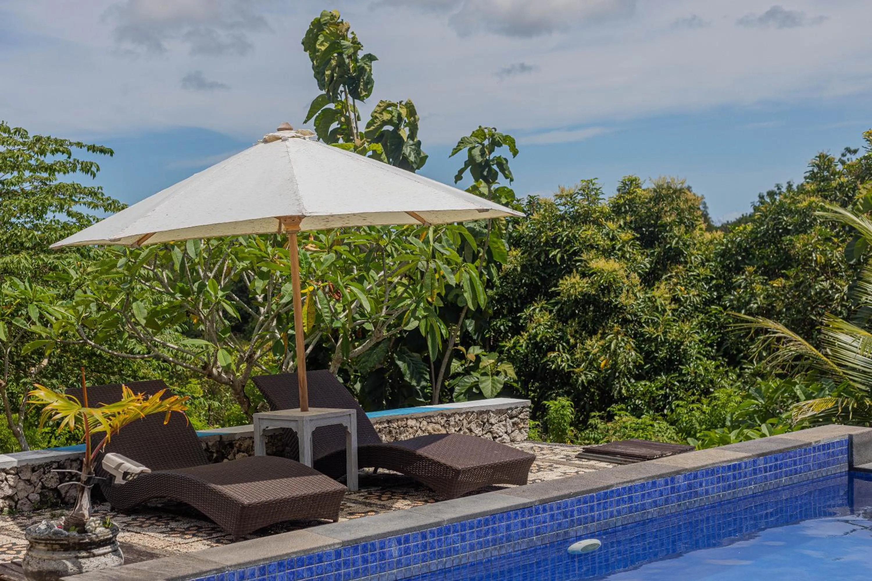 Spring in La Village Hill View