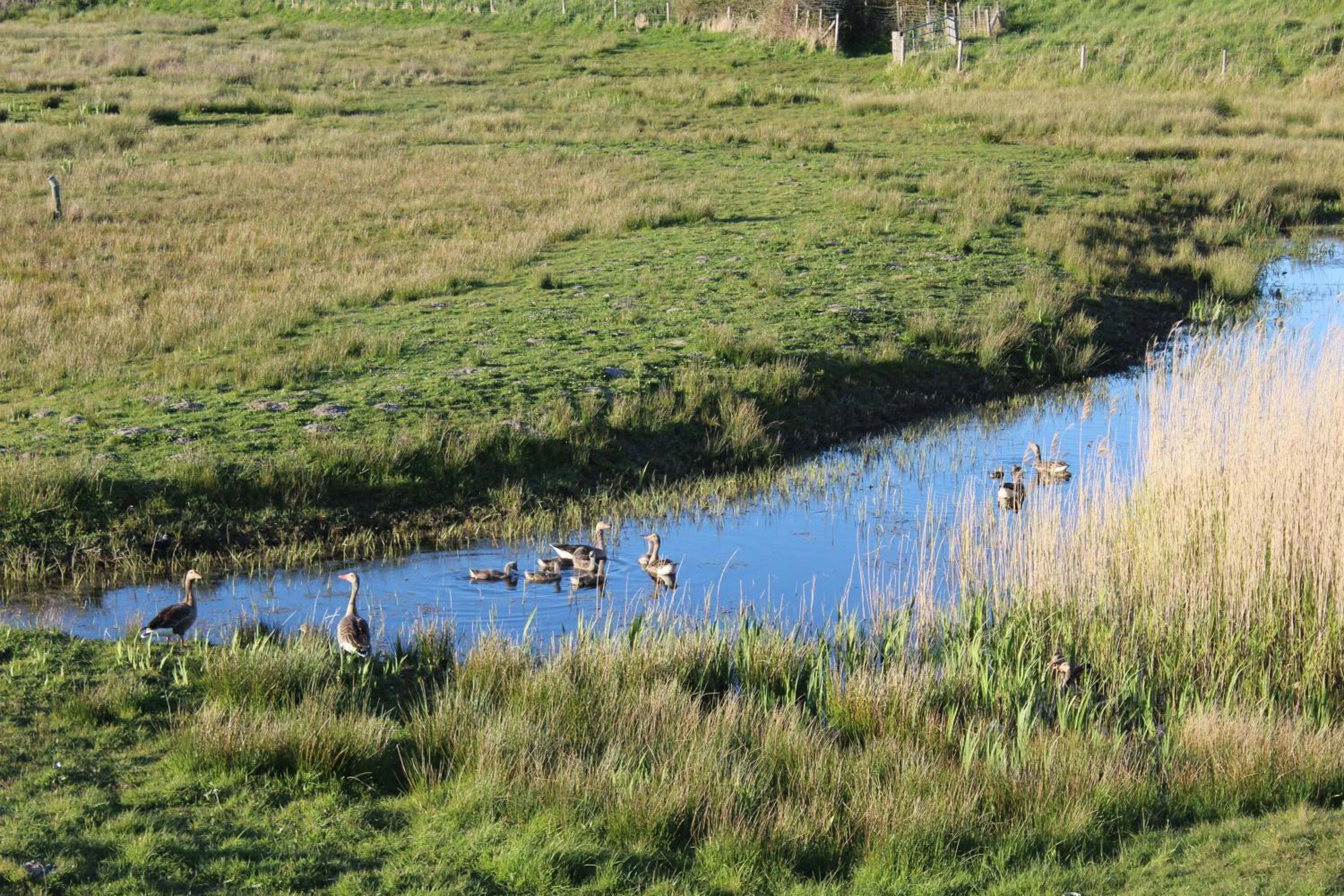 Neighbourhood in Hotel Restaurant 't Klokje