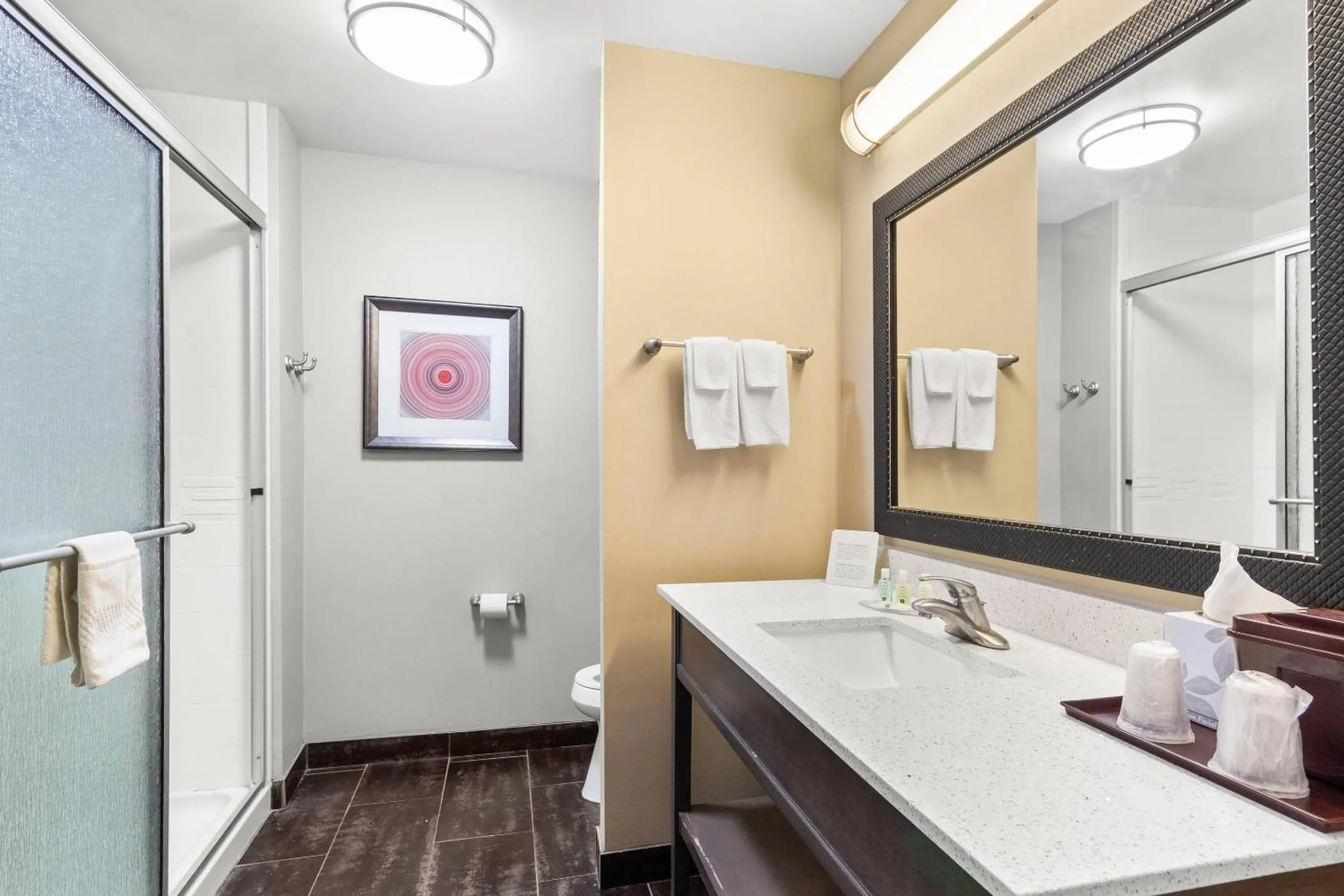 Bedroom in Quality Inn & Suites Pearsall