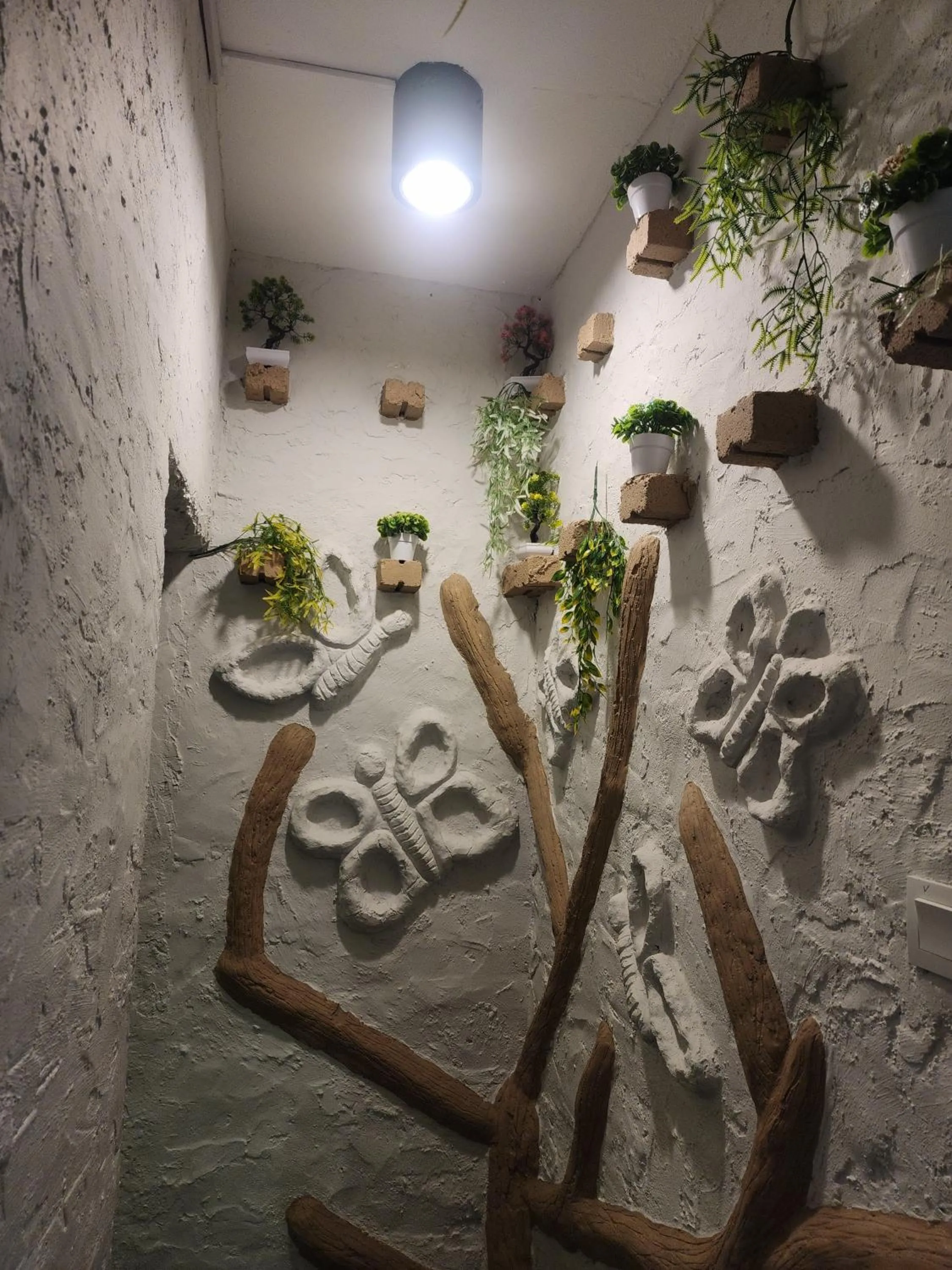 Clock Inn Backpackers Hostel