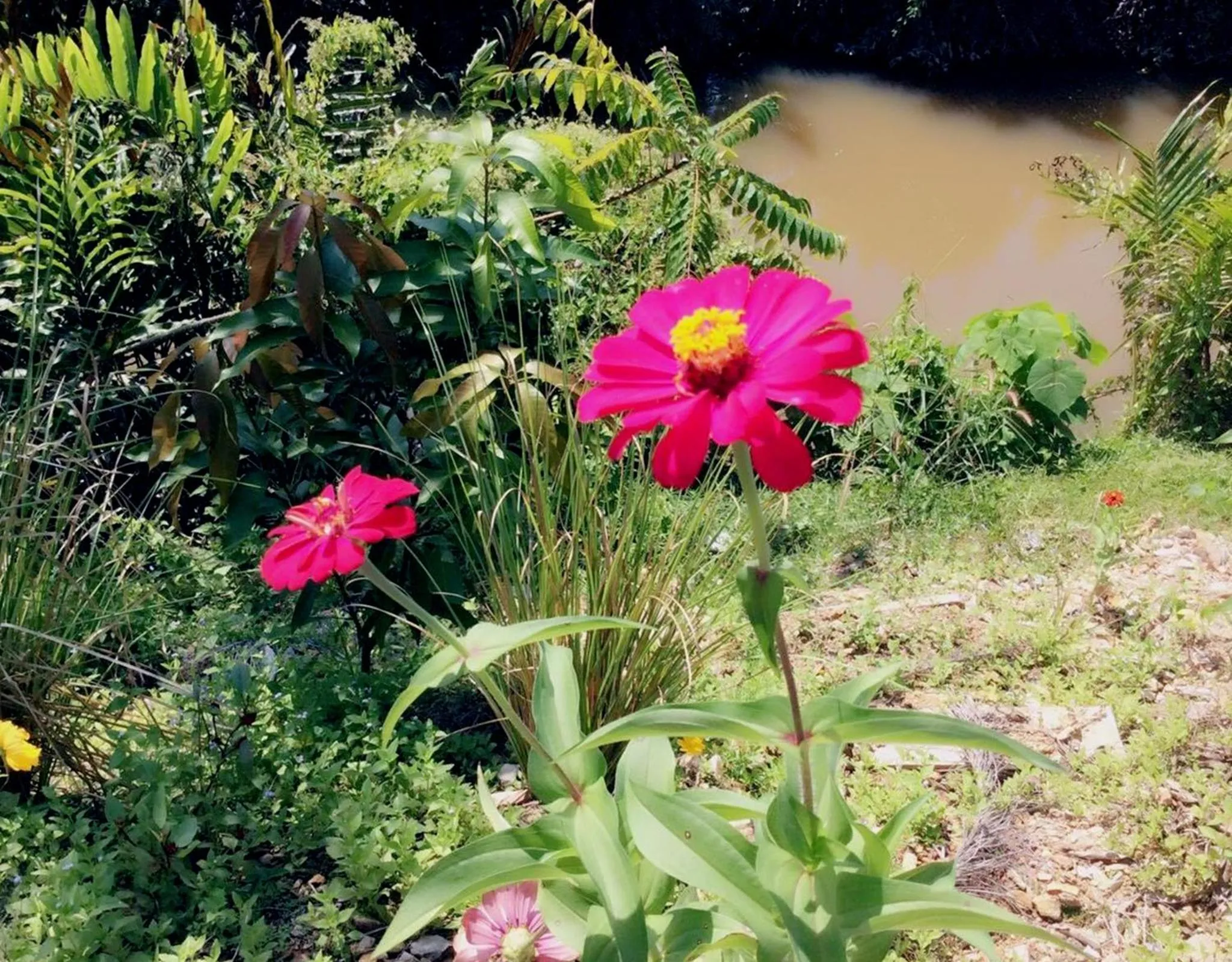 Decorative detail in Lanta Wanida Resort