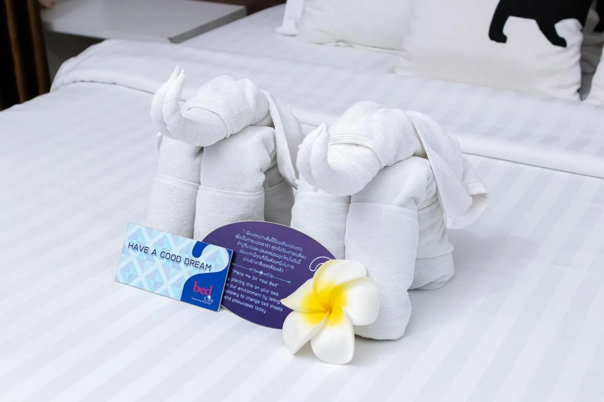 Bed in Bed By City Hotel