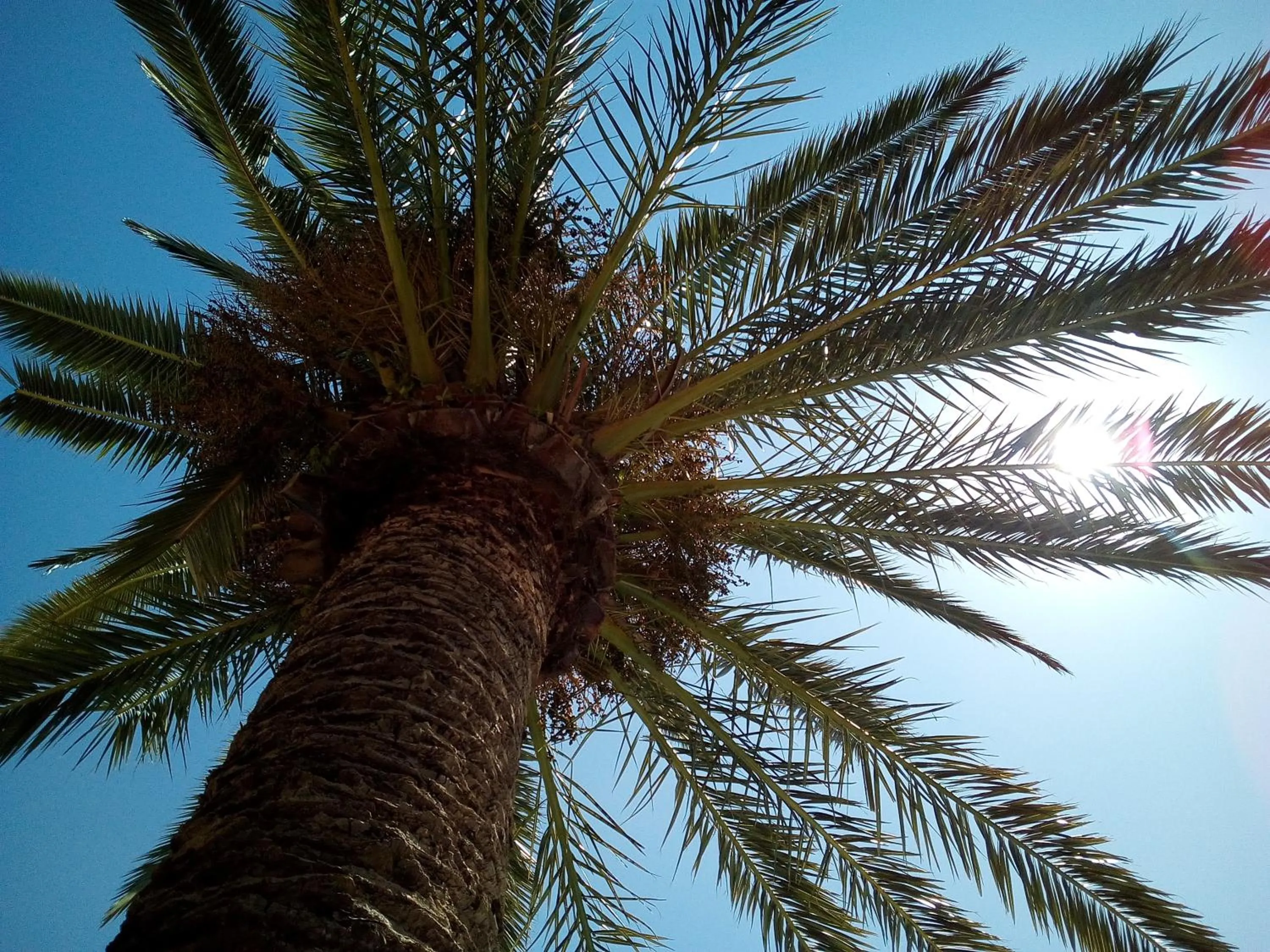 Swimming pool in Hotel Le Majestic Canet plage