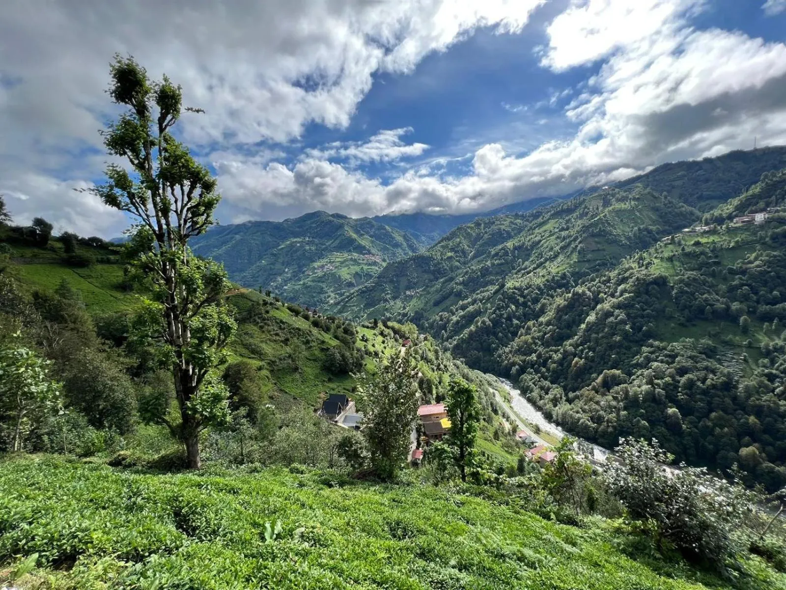 Garden view in Peruma otel
