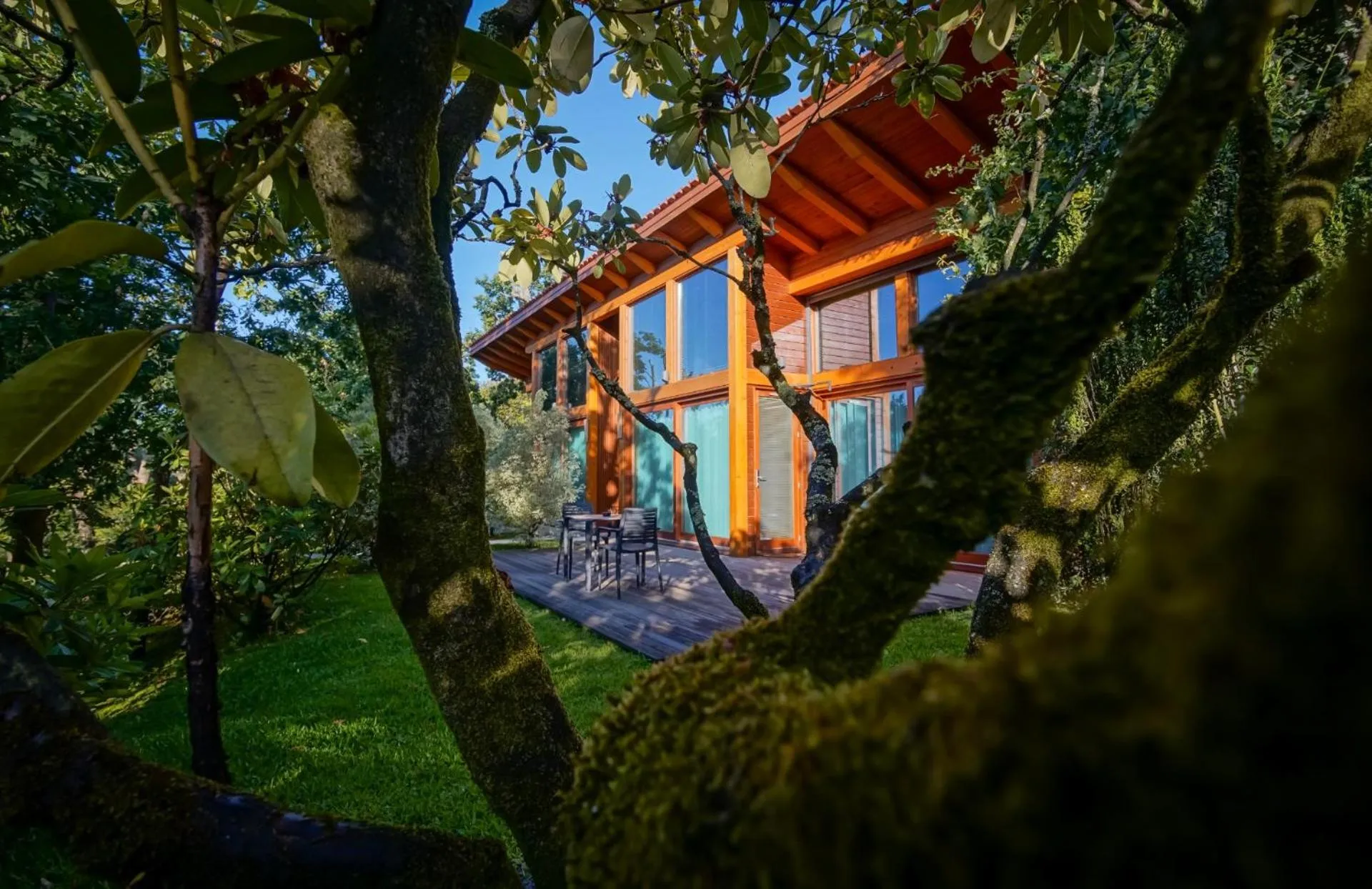 Property building in Rinoterra Minho