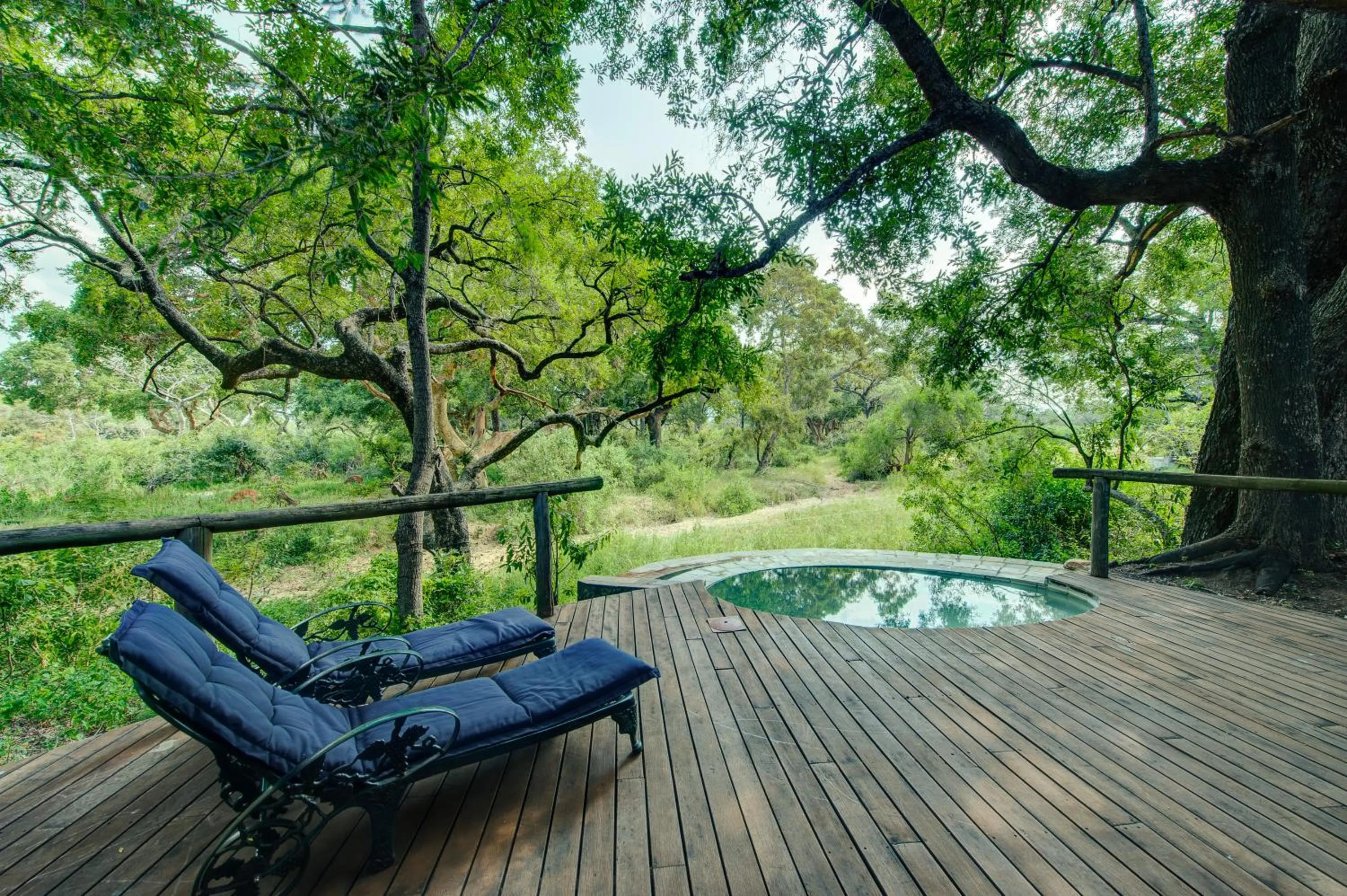 Natural landscape in Tintswalo Safari