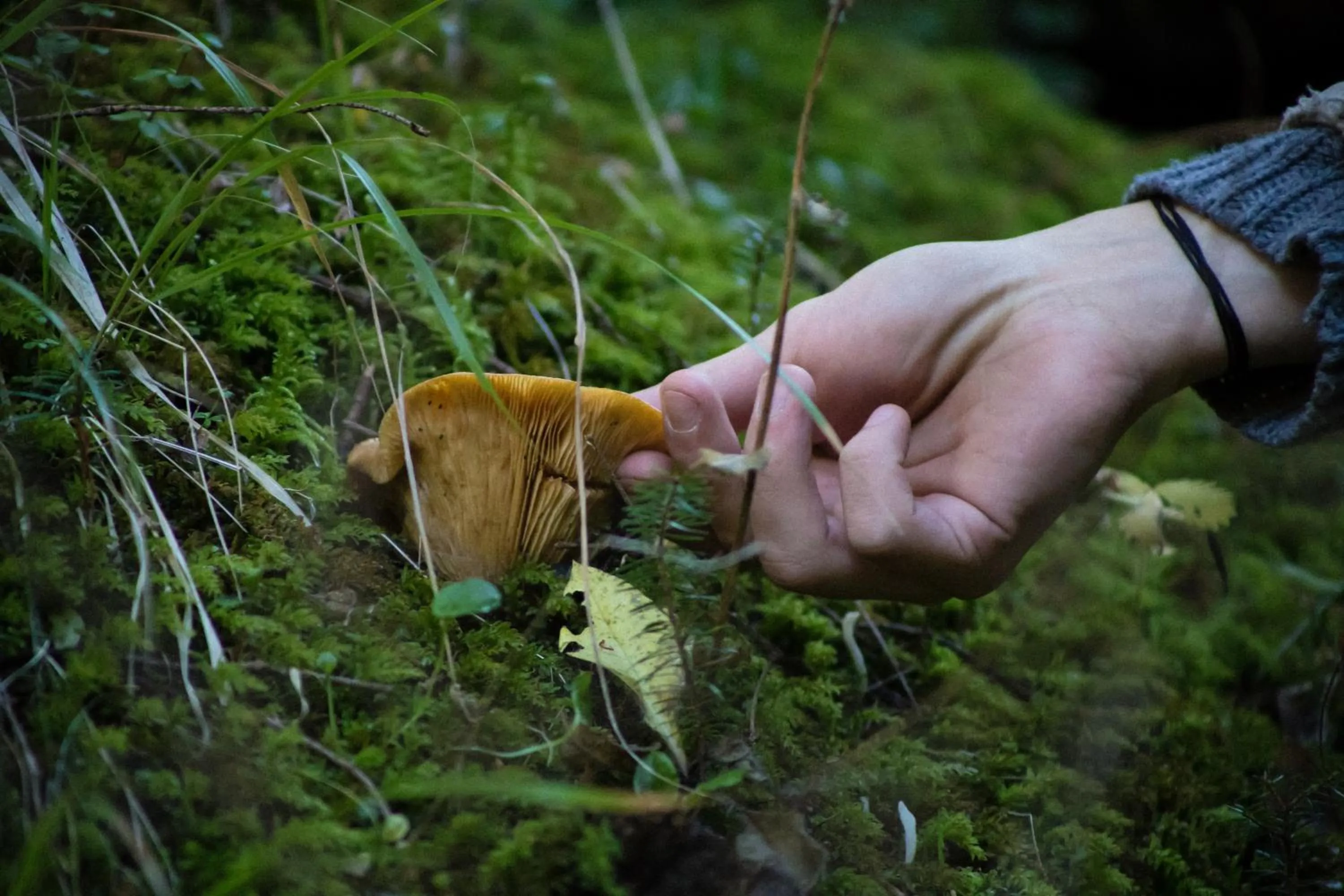 Other in Montanema Handmade Village