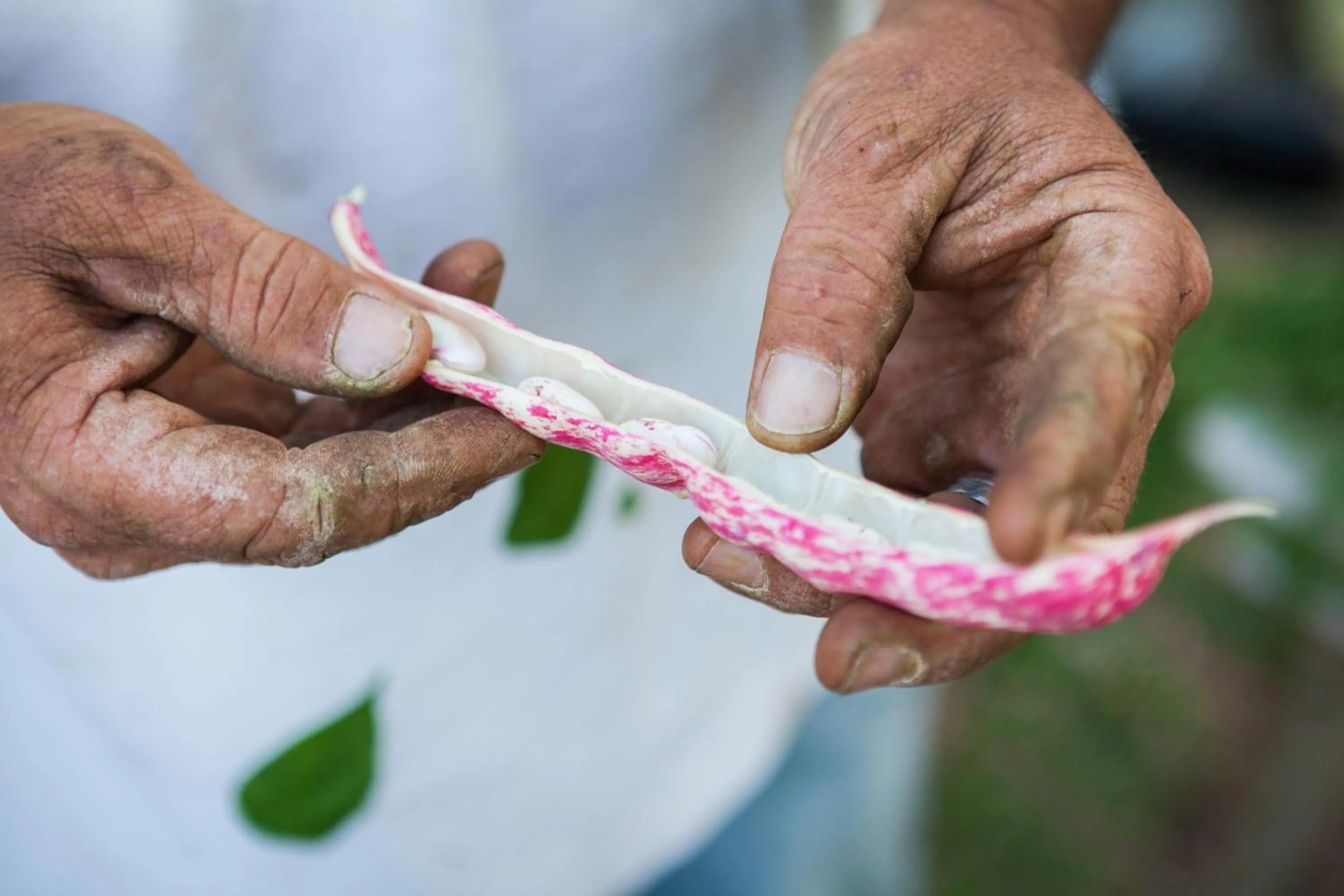 Activities in Montanema Handmade Village