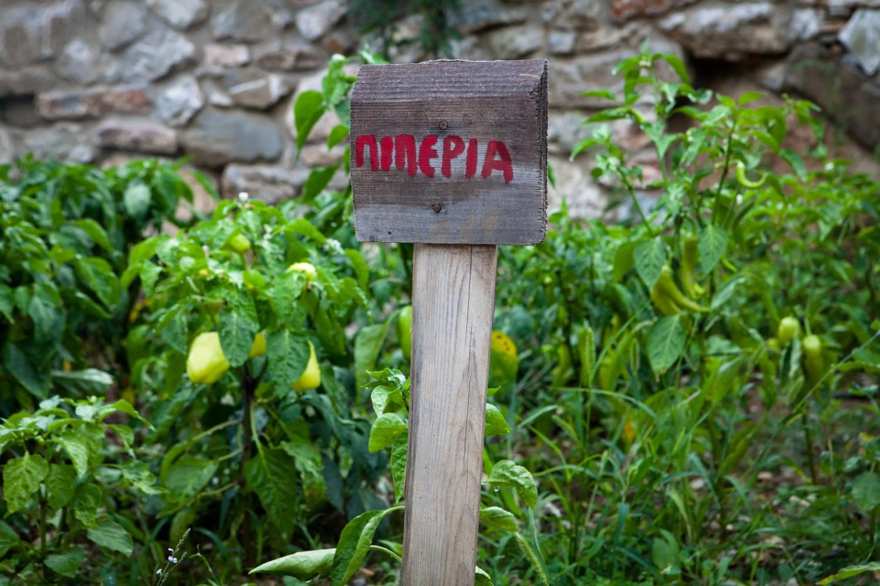 Garden in Montanema Handmade Village