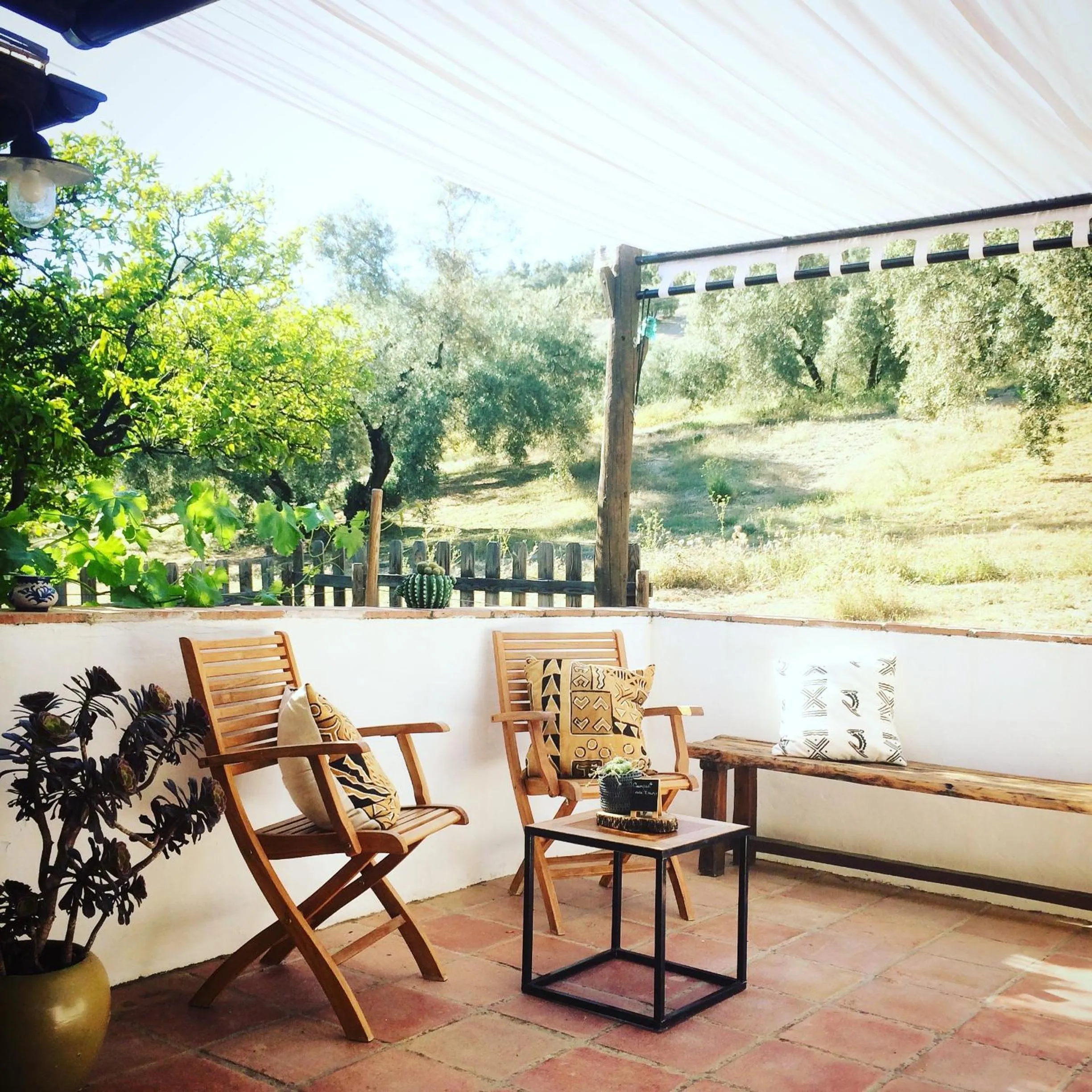 Patio in Valle de Oro