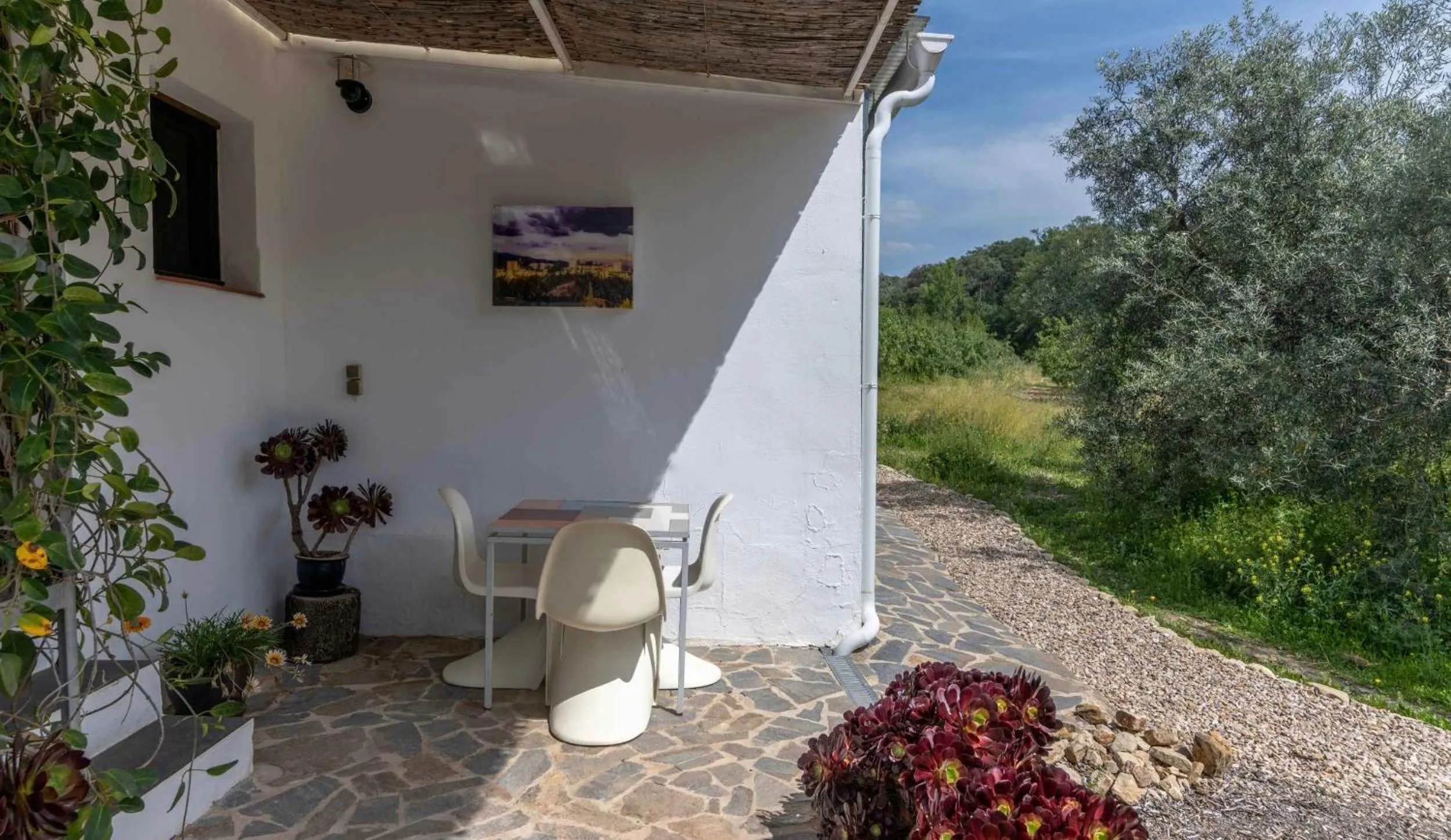 Patio in Valle de Oro