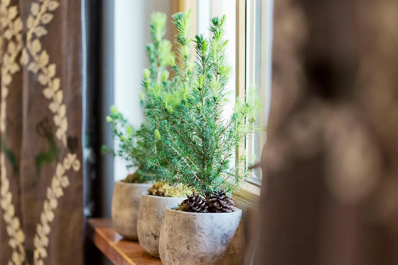 Restaurant/places to eat in Landhotel Untermüllnergut