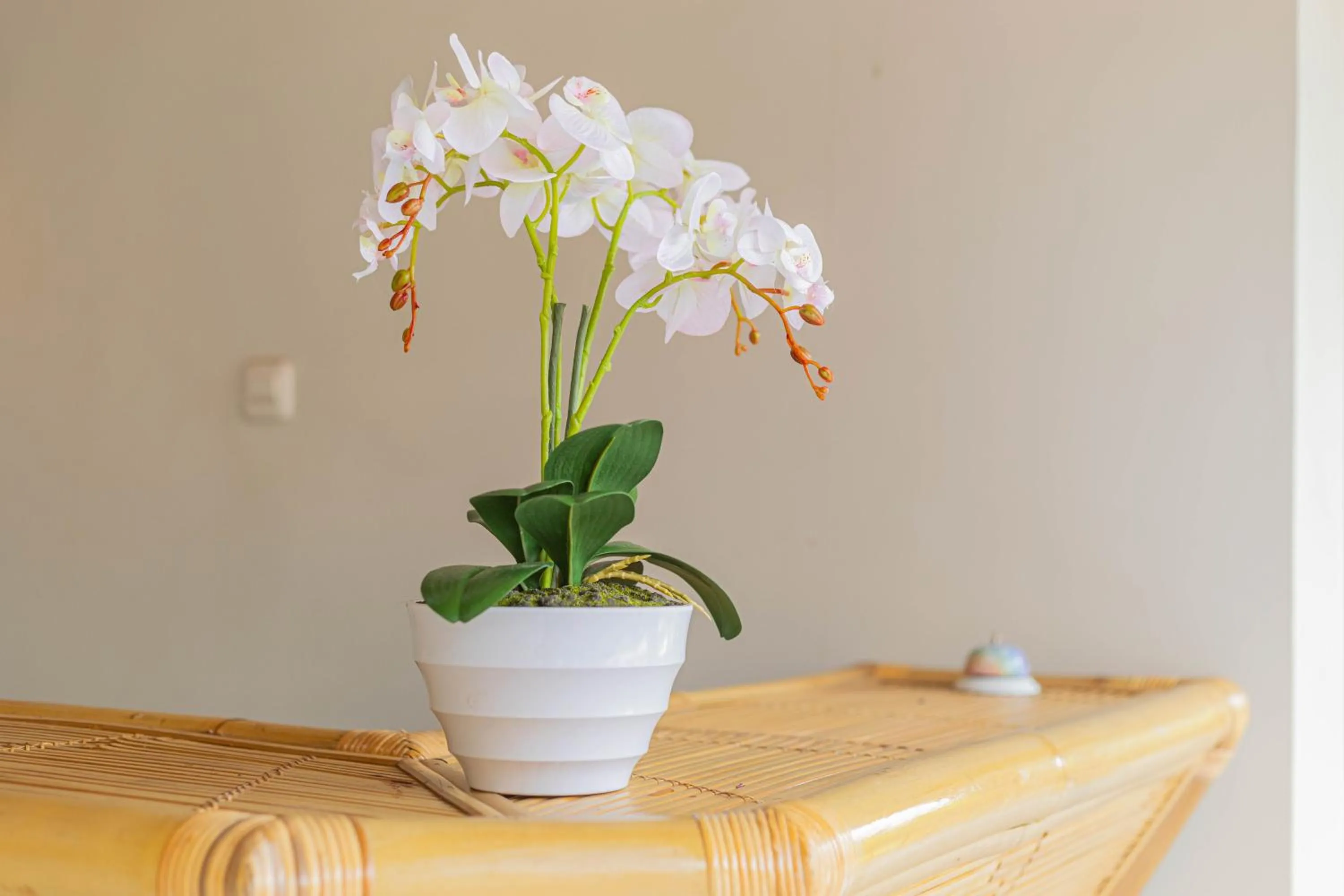 Other in Candra Loka Studio & Apartment by The Loka