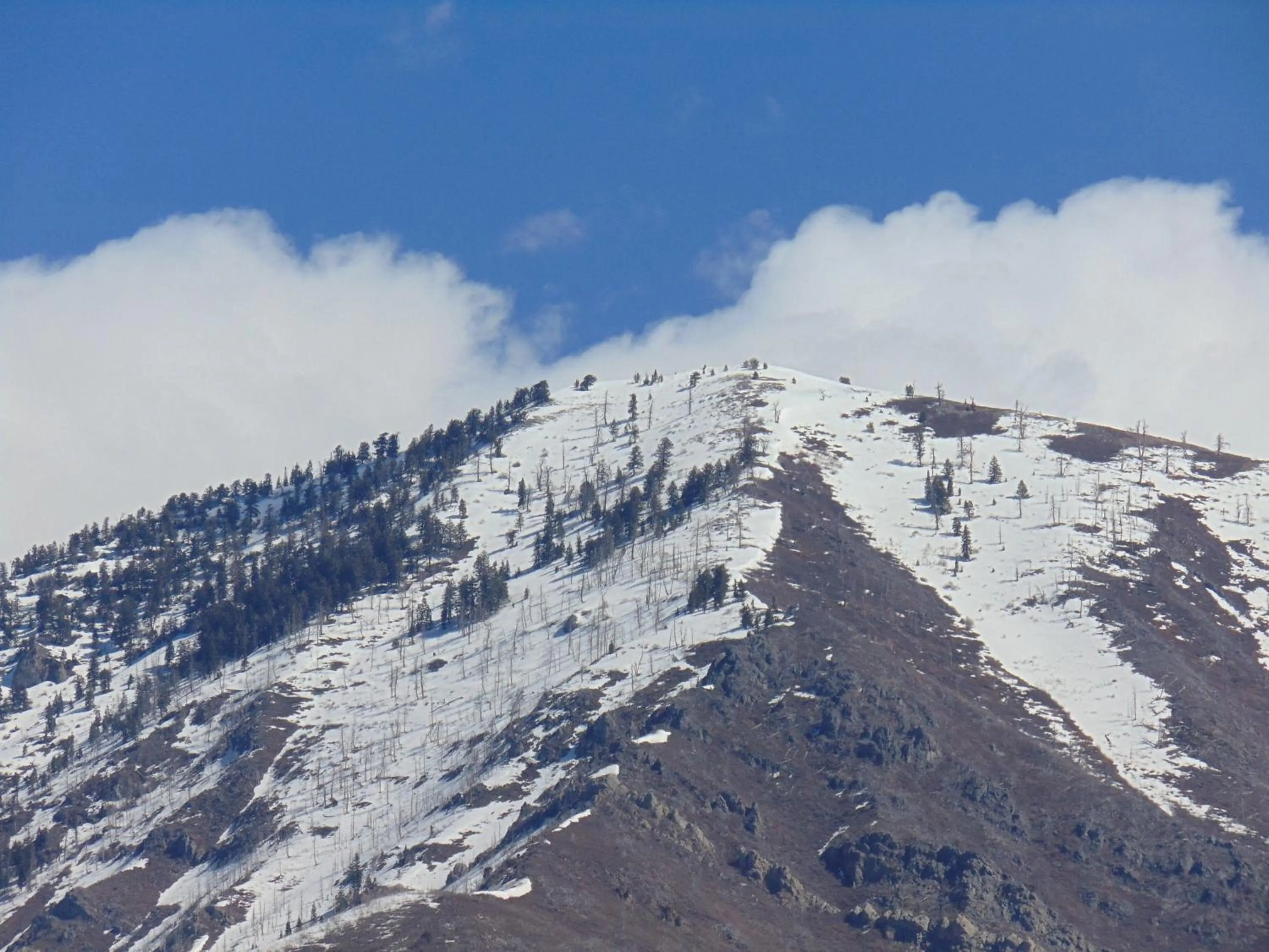 Other in Holiday Inn Express & Suites Springville-South Provo Area by IHG