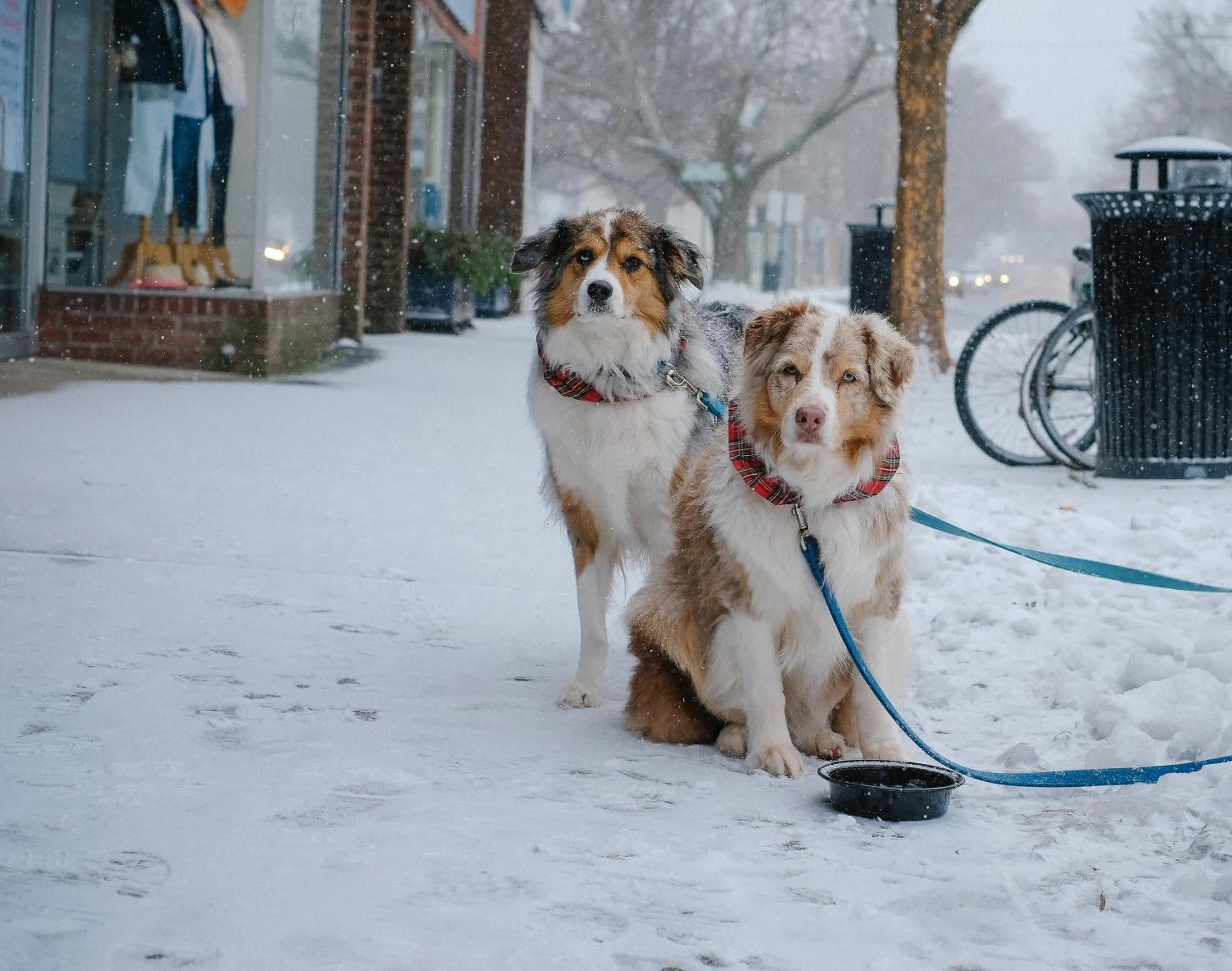 Area and facilities in Topping Rose House
