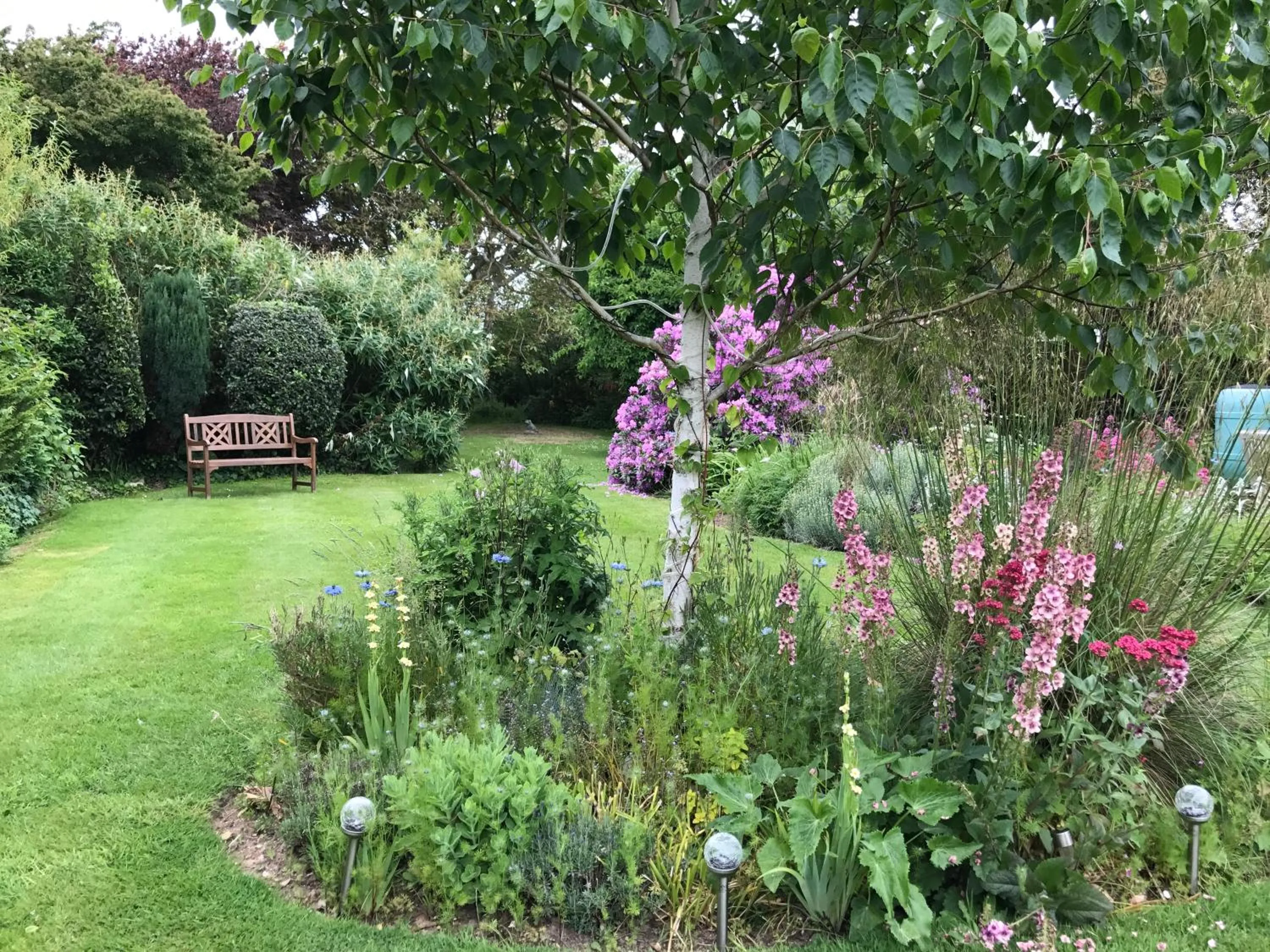Garden in The Coast Yard B & B and Garden Chalets
