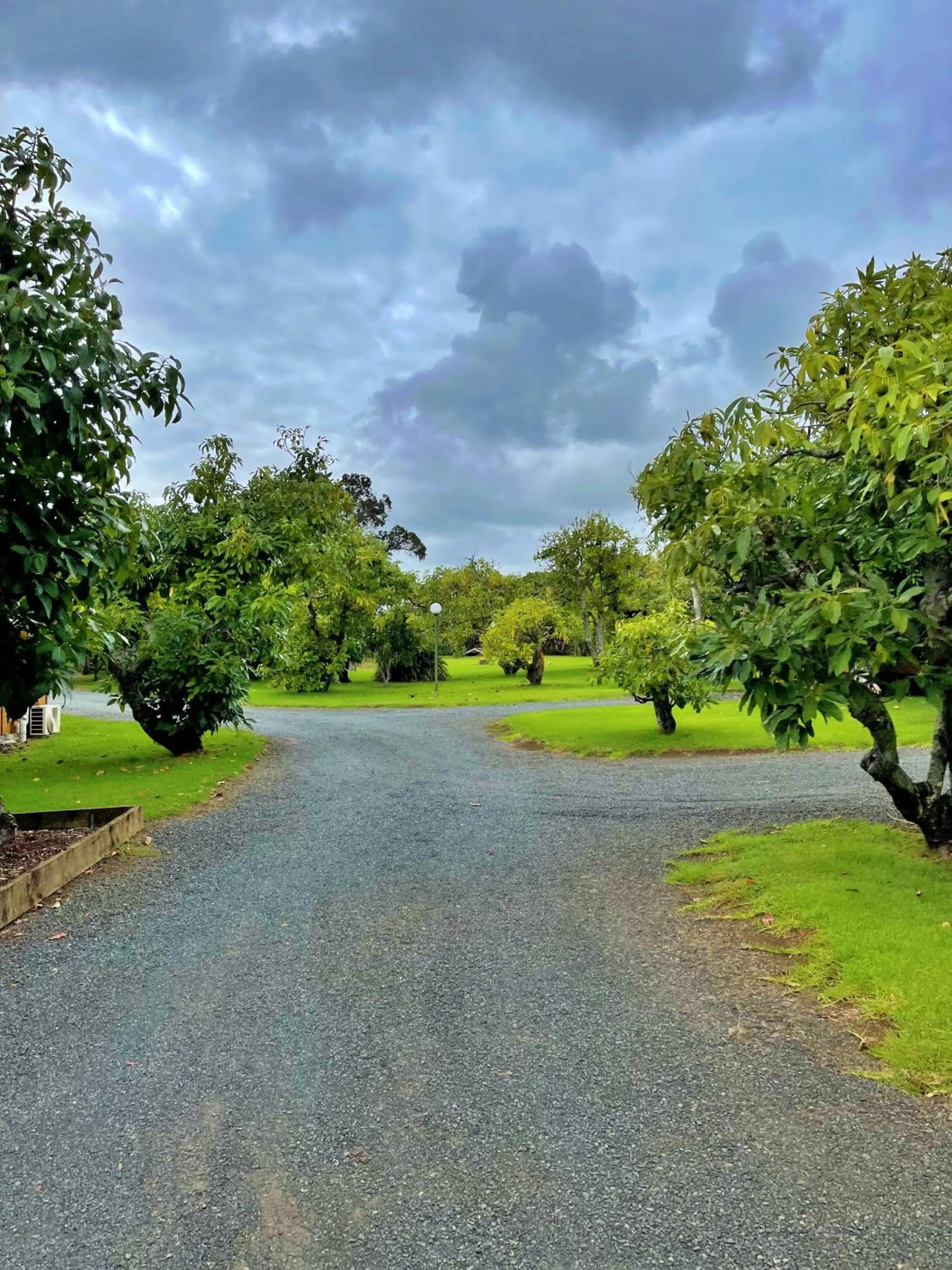 Natural landscape in Kerigold Secluded Chalets Motel
