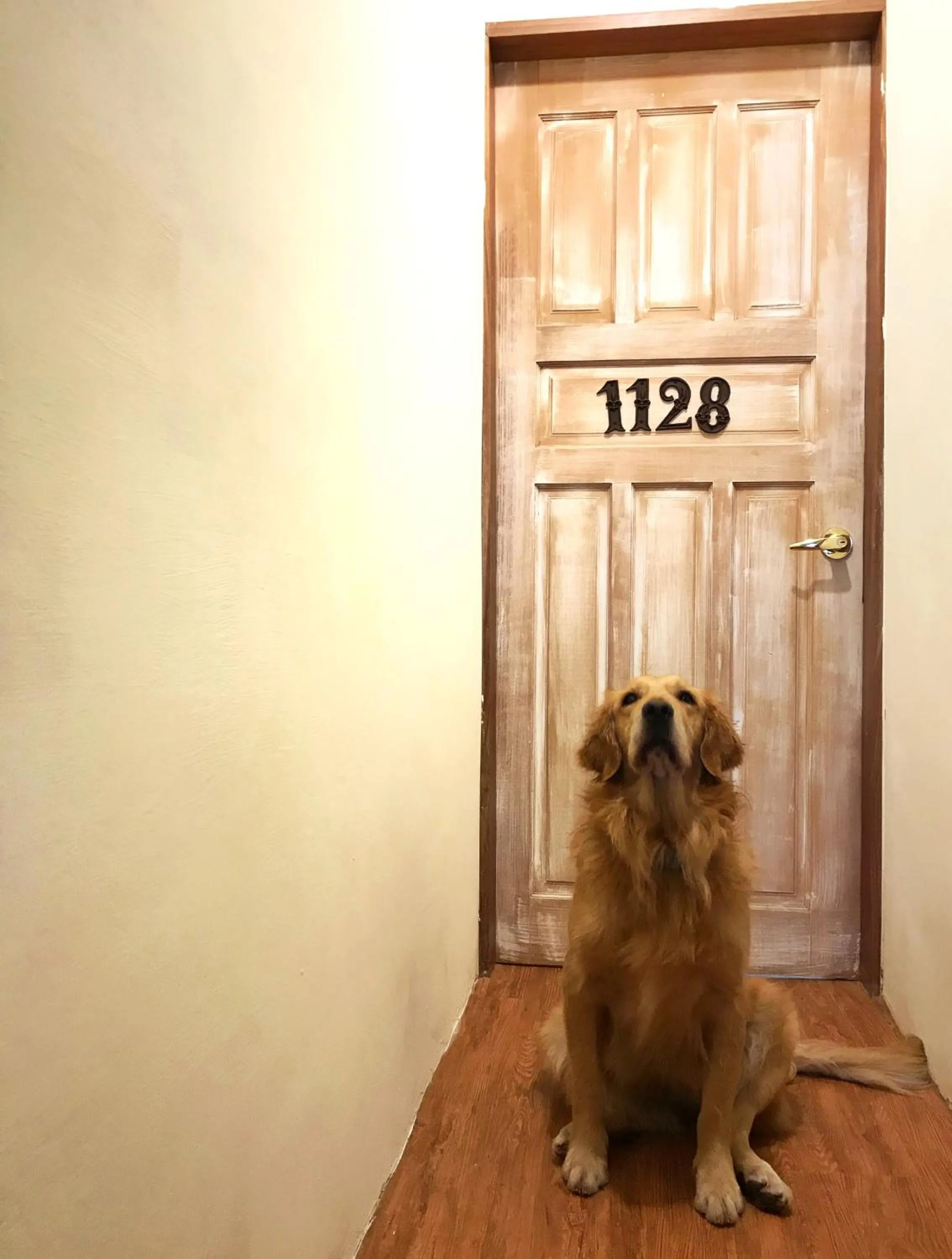 墾丁寵物友善 鐵宿 Tetsu B&B