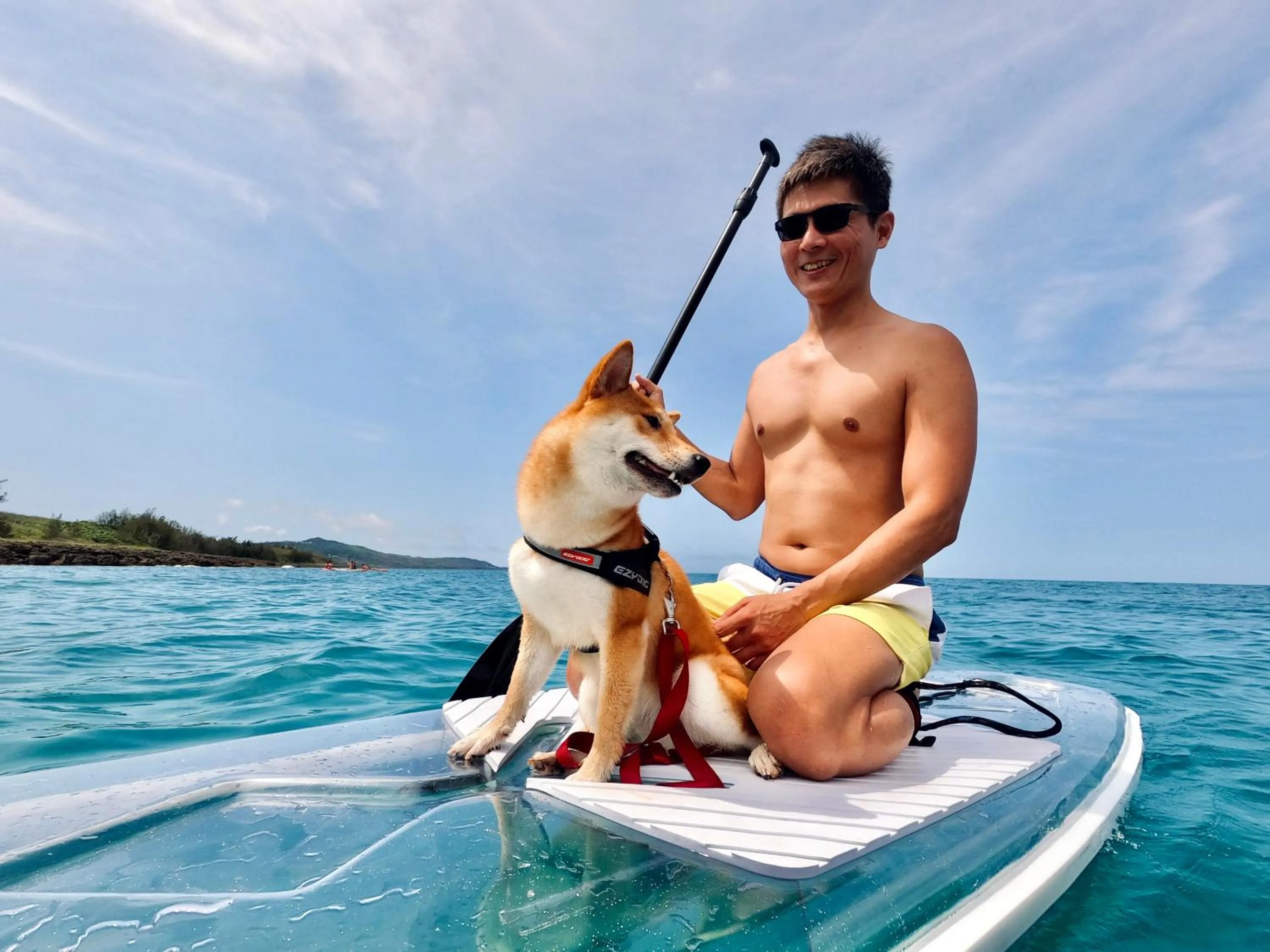 Aqua park in 墾丁寵物友善 鐵宿 Tetsu B&B