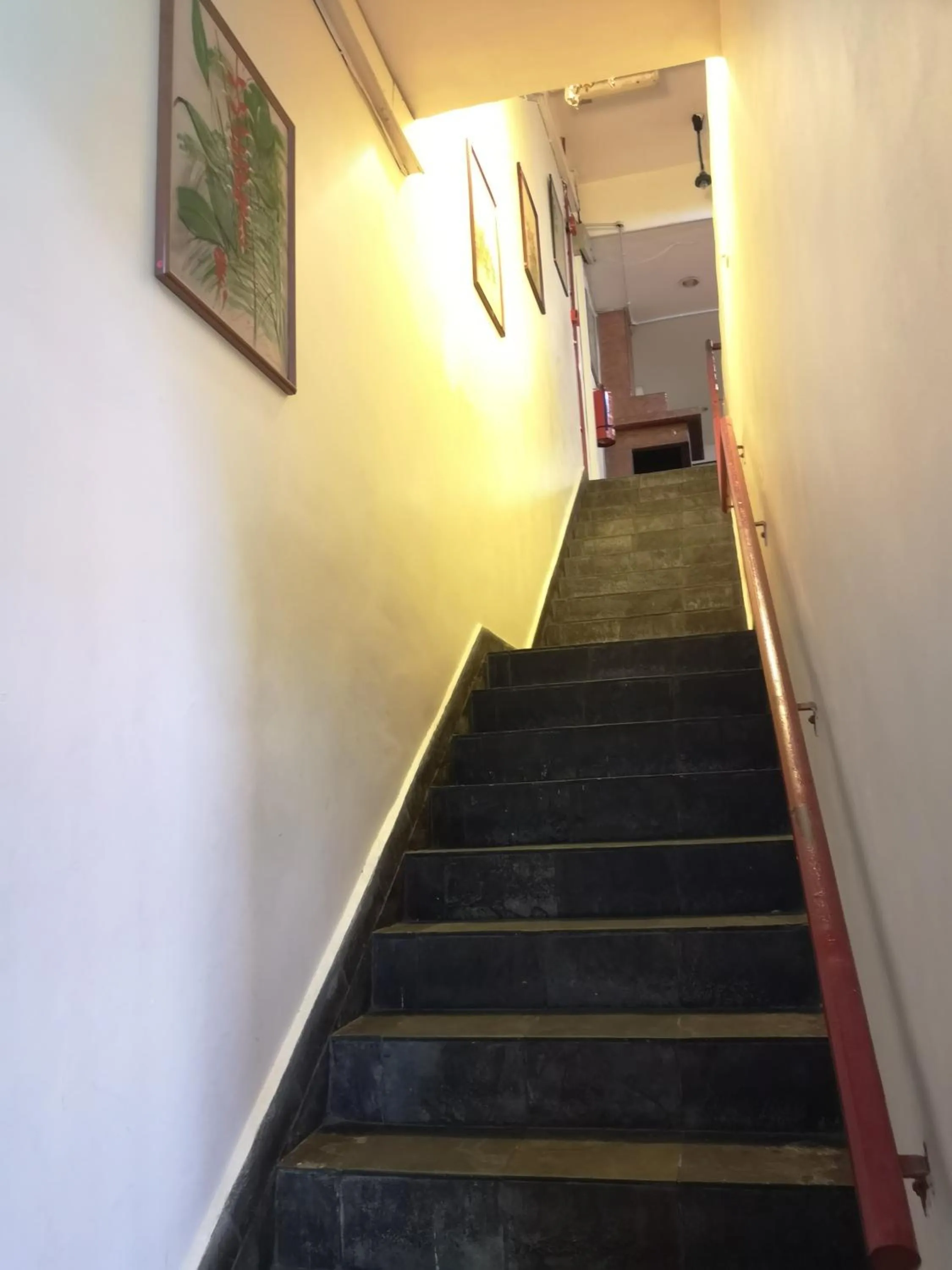 Area and facilities in Hotel BB Inn @ Cameron