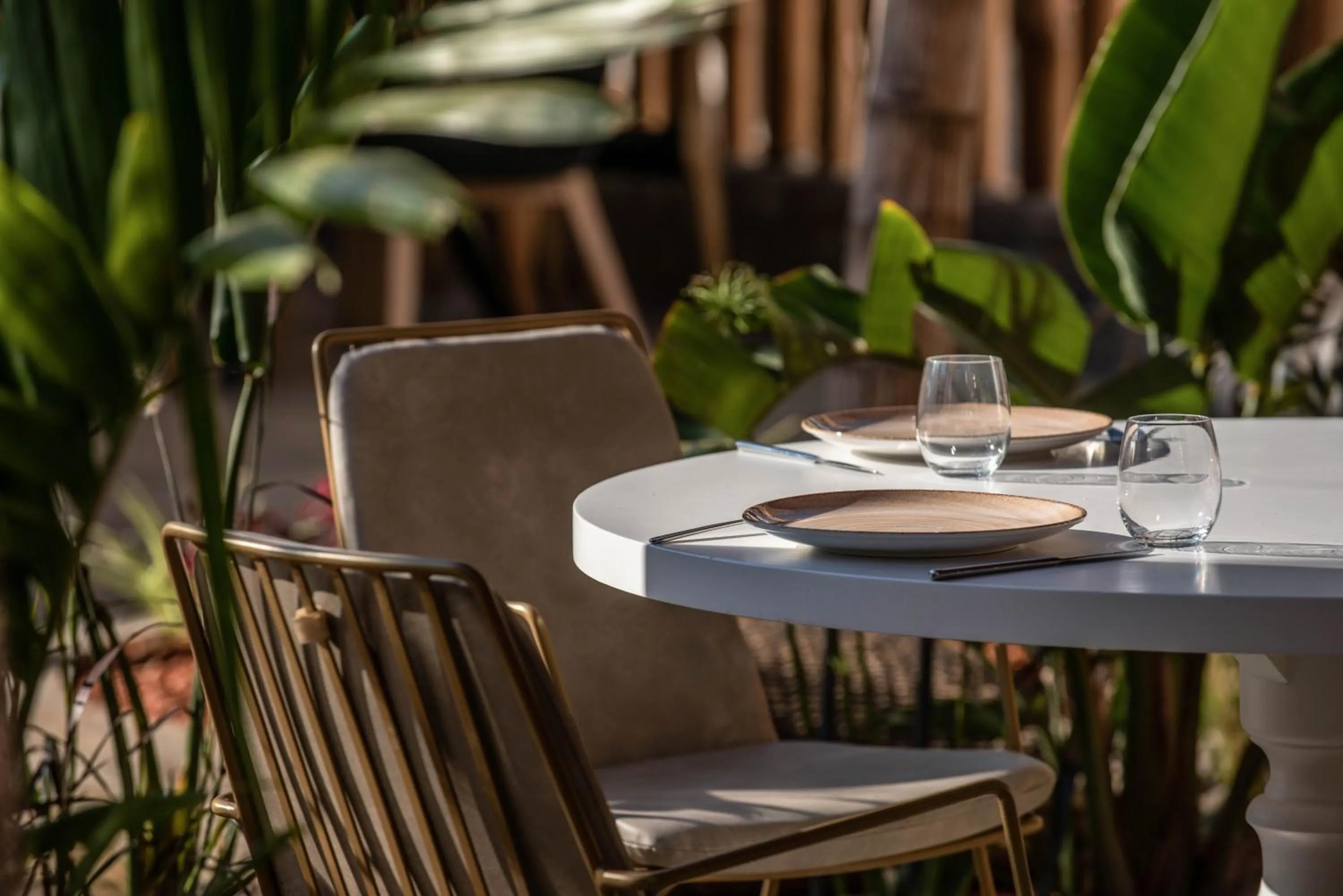 Restaurant/places to eat in Indigo Suites Collection Adults Only