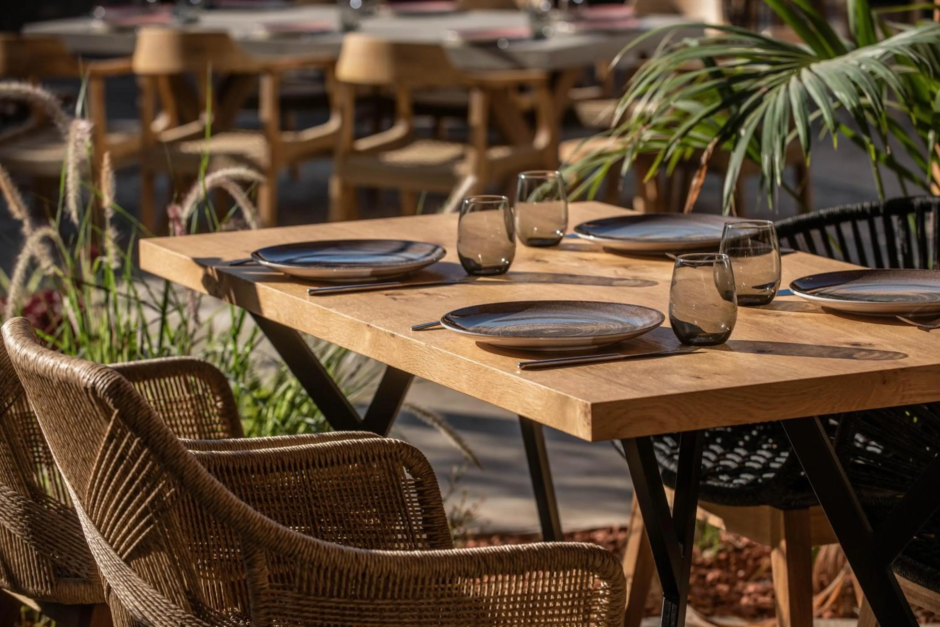 Restaurant/places to eat in Indigo Suites Collection Adults Only