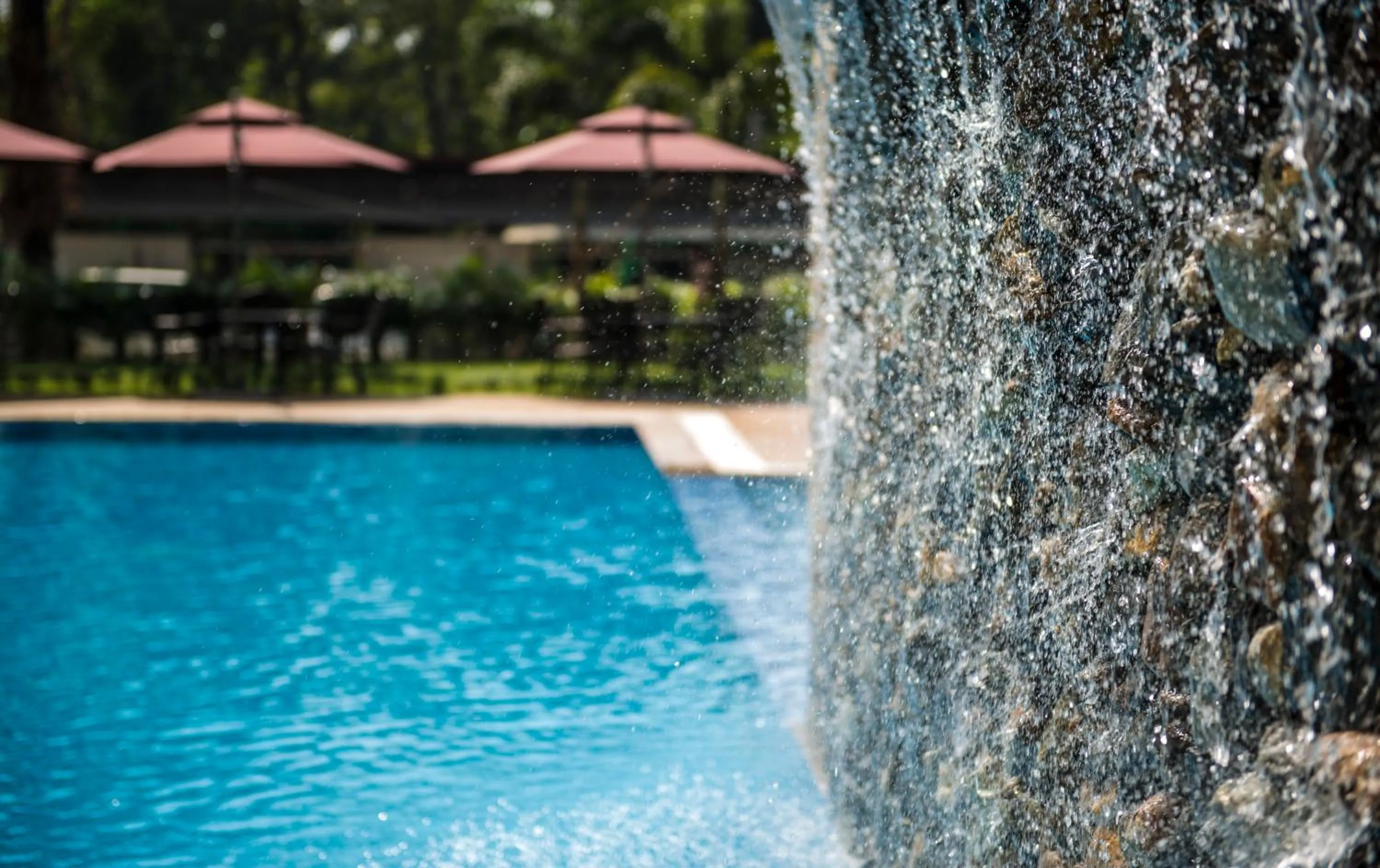 Swimming pool in Rose Garden Hotel