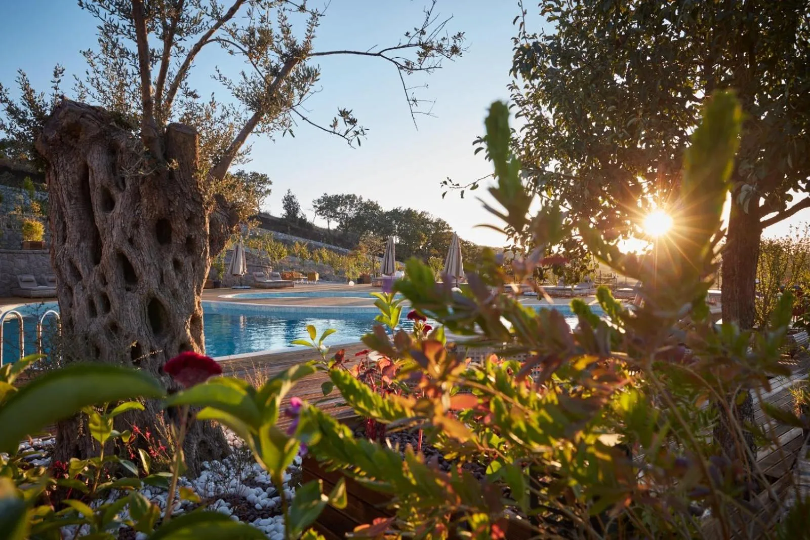 Pool view in Cabras Kazdağları