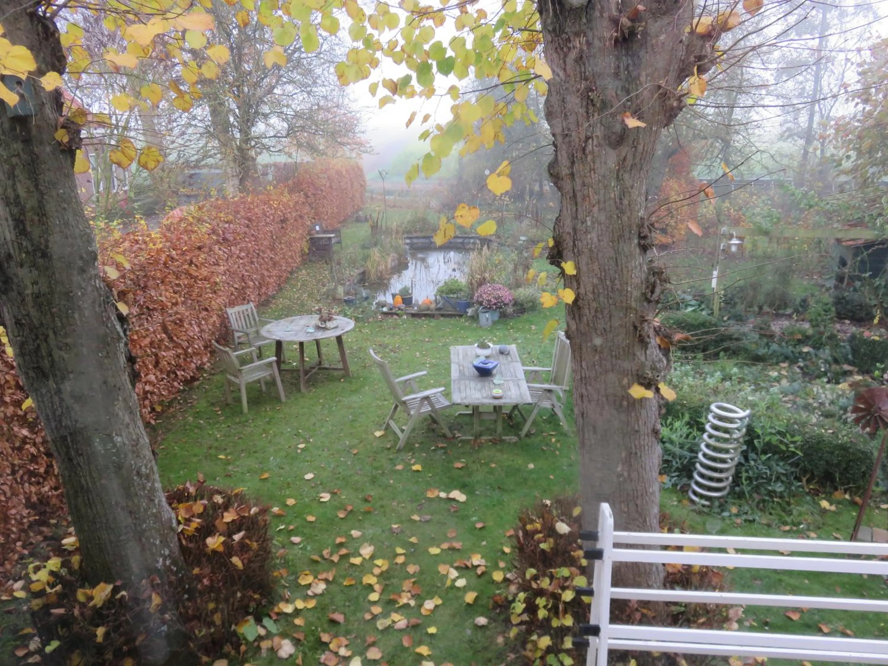 Garden view in Finisterre