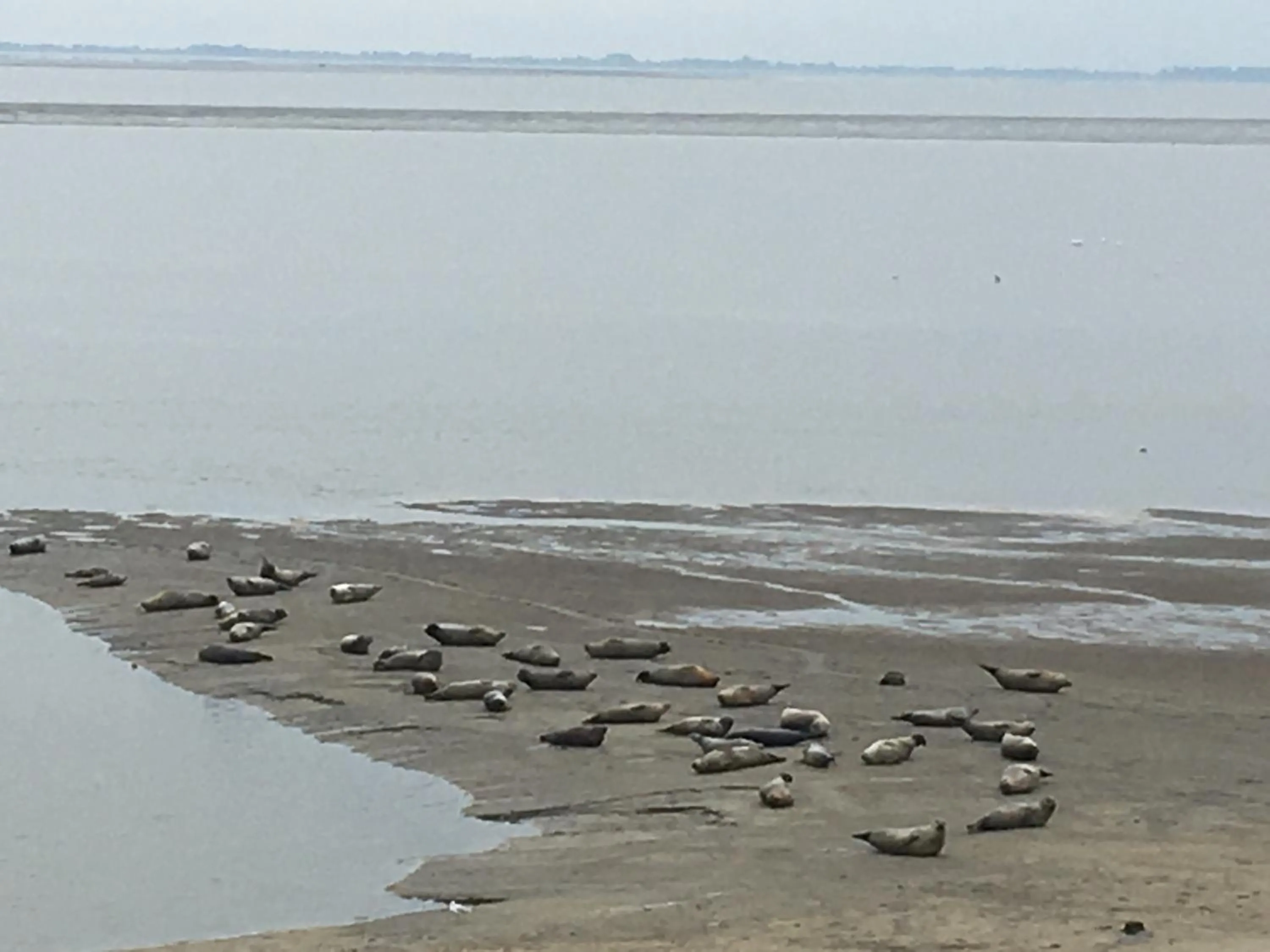 Natural landscape in Finisterre