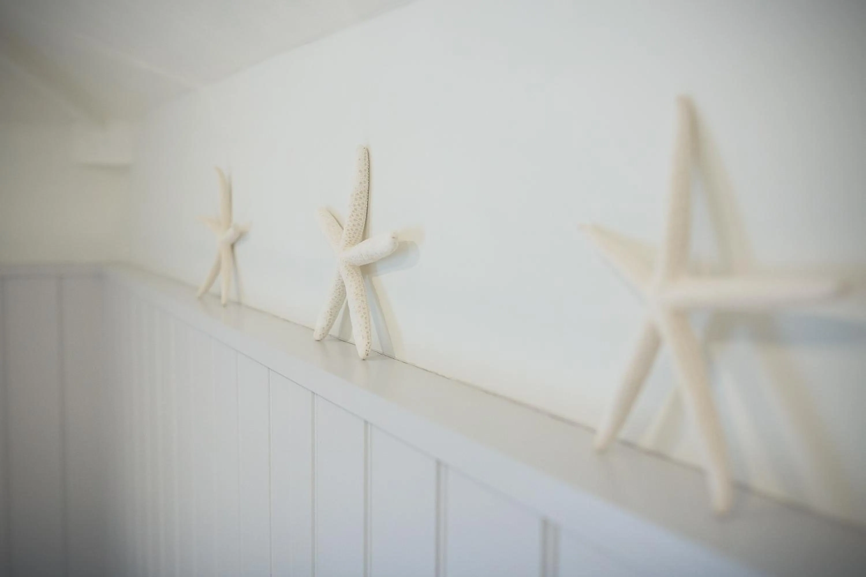 Area and facilities in George Hotel, BW Signature Collection