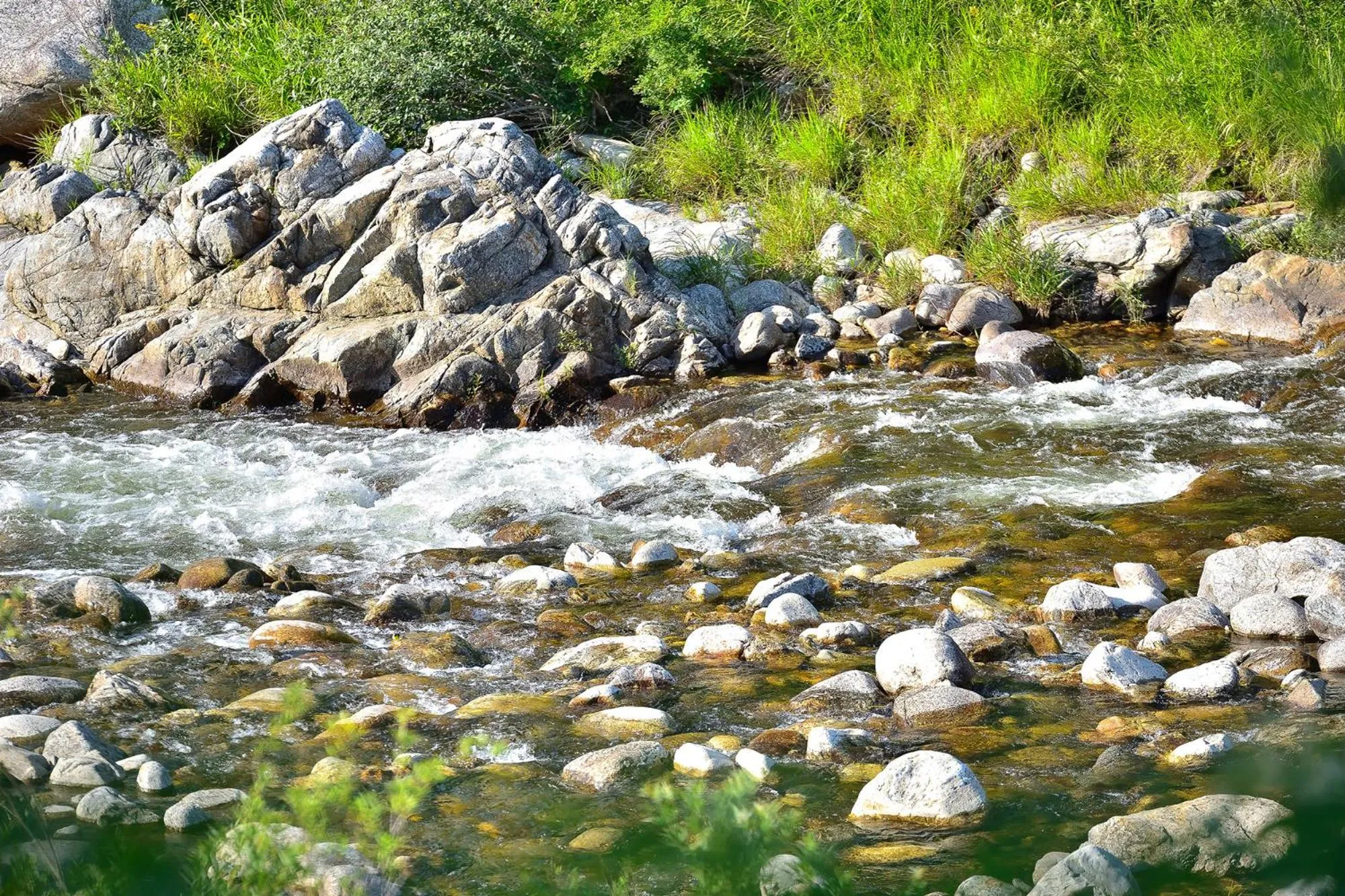 Yangyang Pulbit Pension