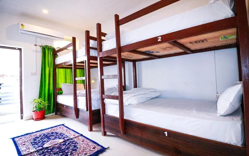 bunk bed, Bed in Manzil Hostel