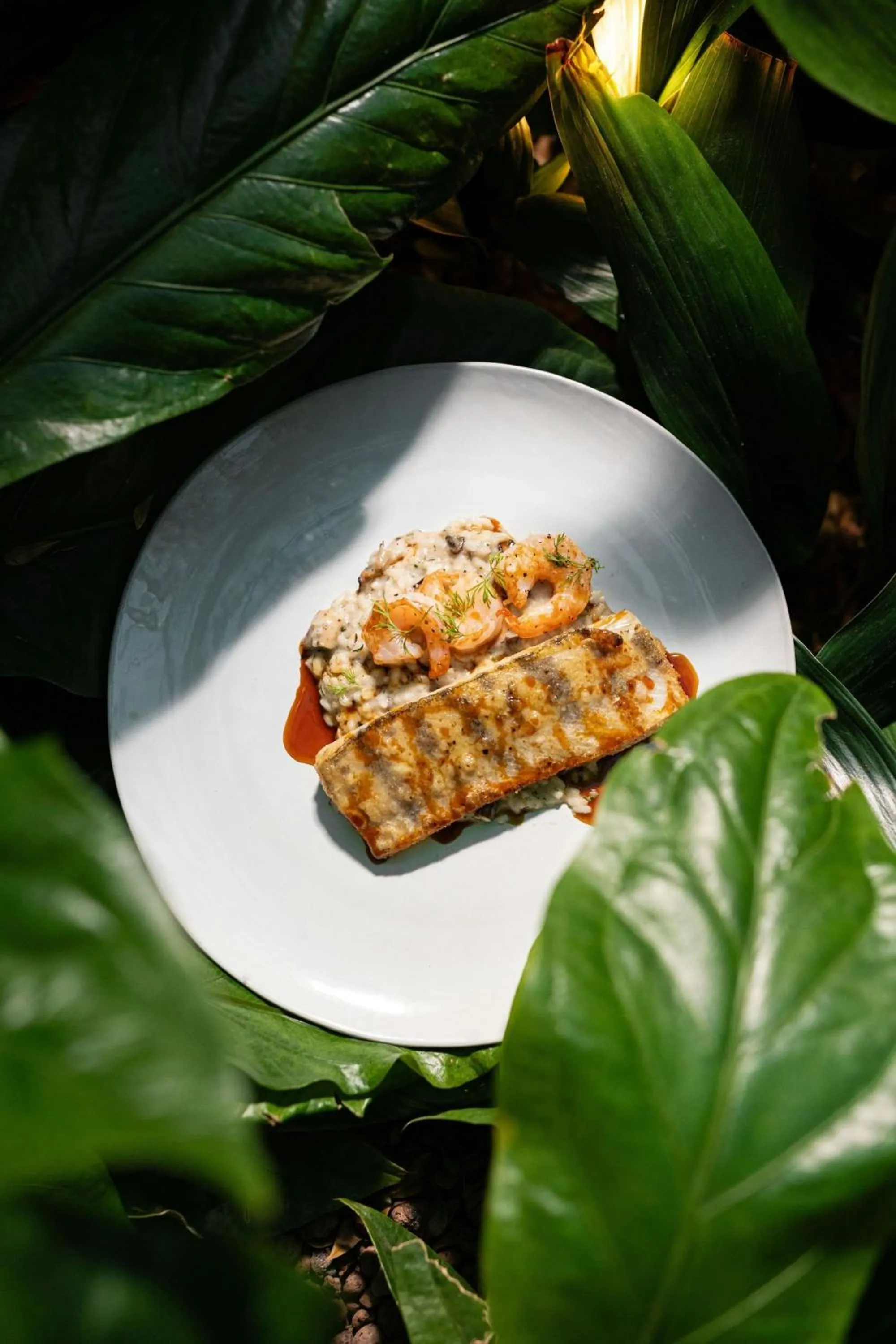 Restaurant/places to eat in Dorothea Hotel, Budapest, Autograph Collection