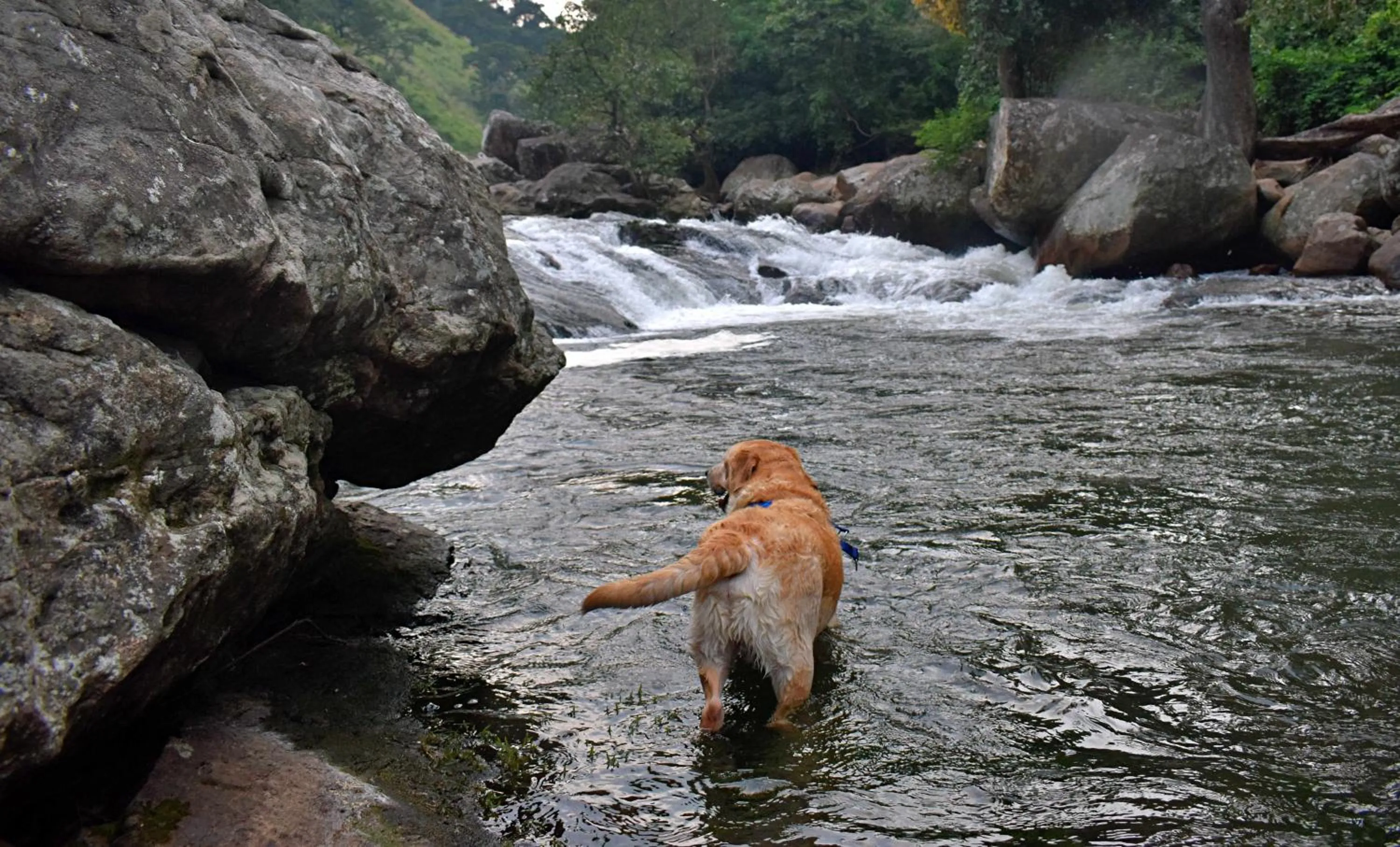 Other in Moon Wings Mountain Resort, Kanthalloor
