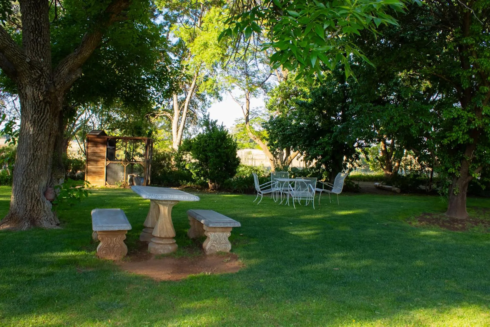 Garden view in A Cherry Lane Self Catering and B&B