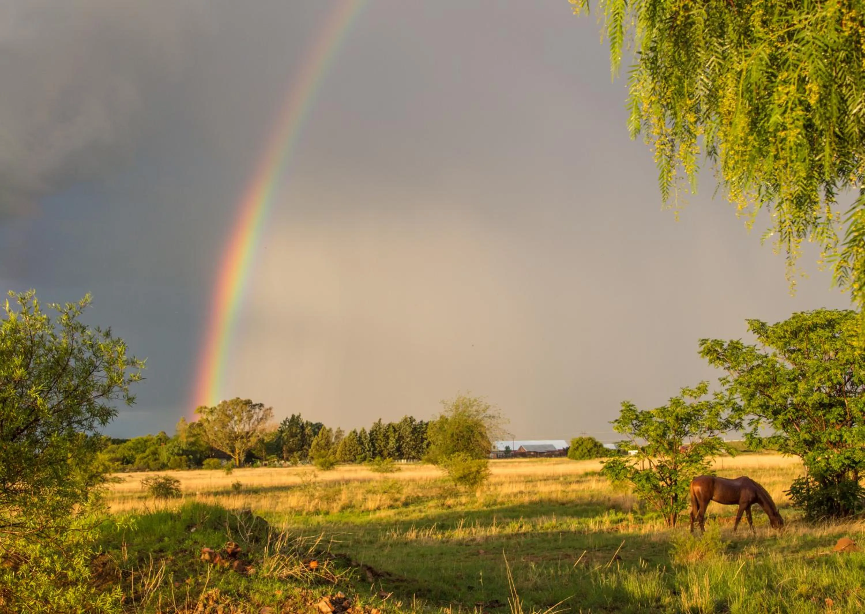Day in A Cherry Lane Self Catering and B&B